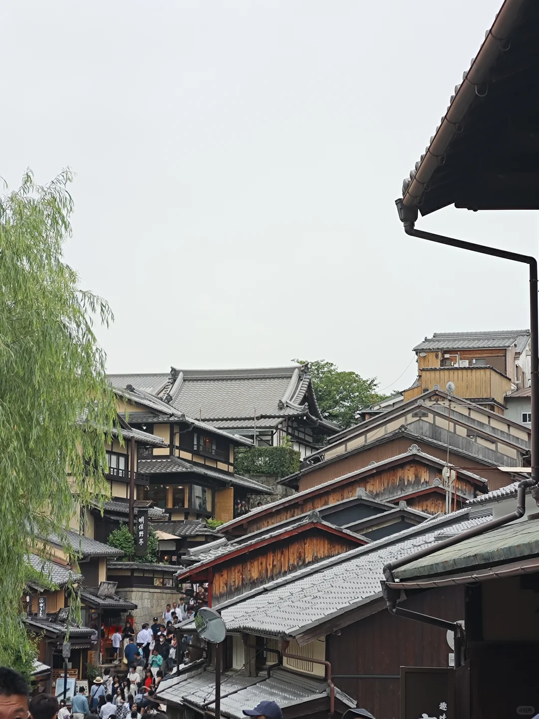 京都，去了，但不会再去了