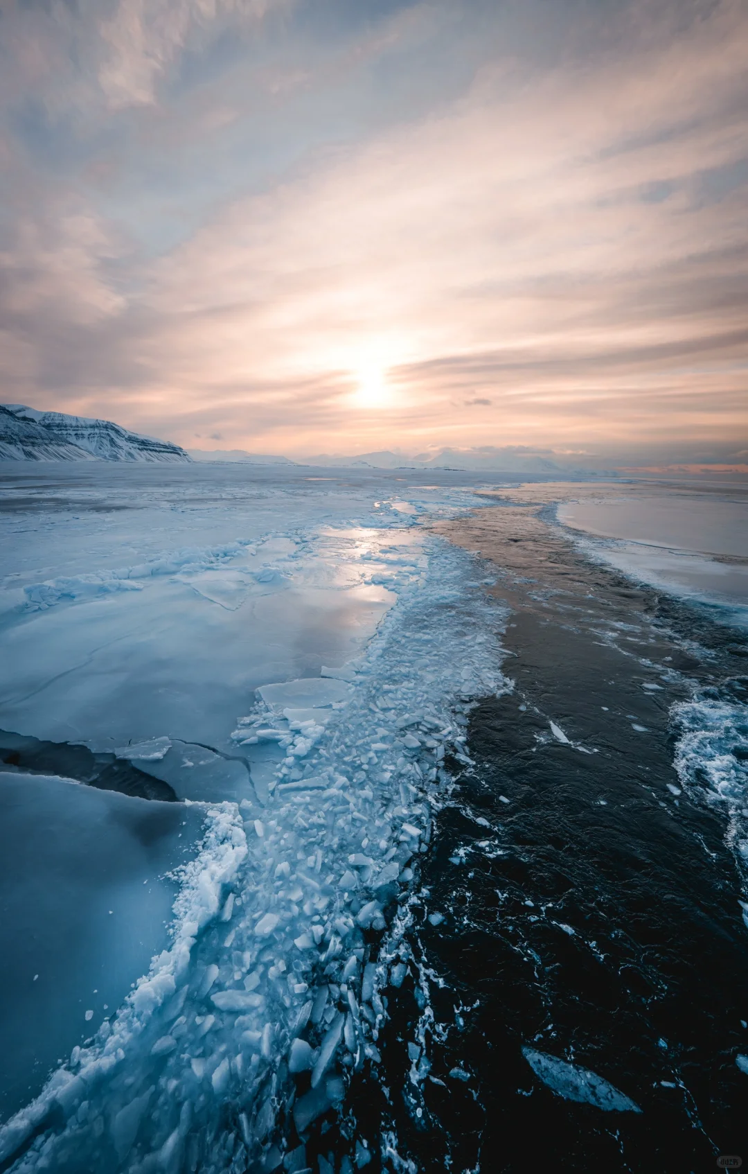 这里对中国永久免签！