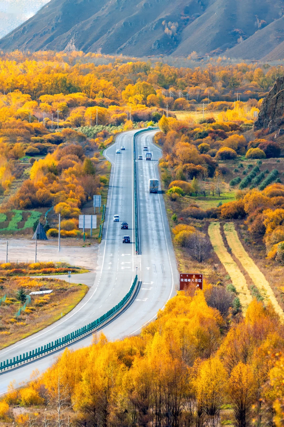 阿尔山，满足了我对大兴安岭秋天的所有幻想