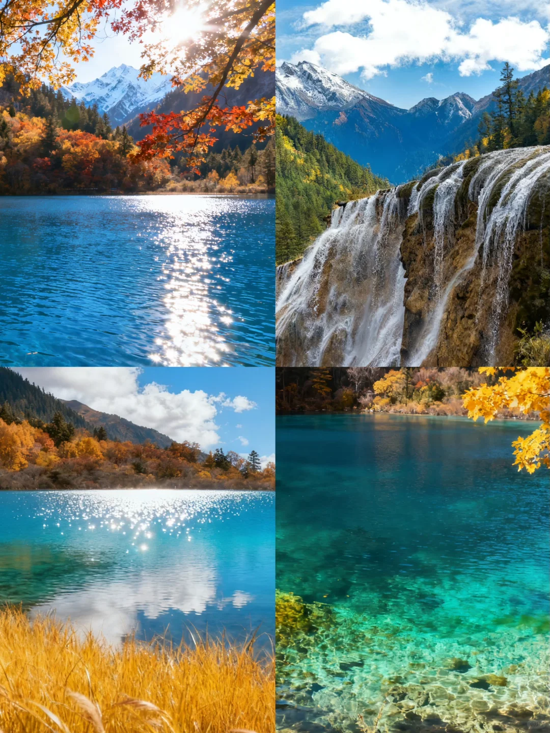 四川必玩路线规划✅自由行攻略+交通+住宿指