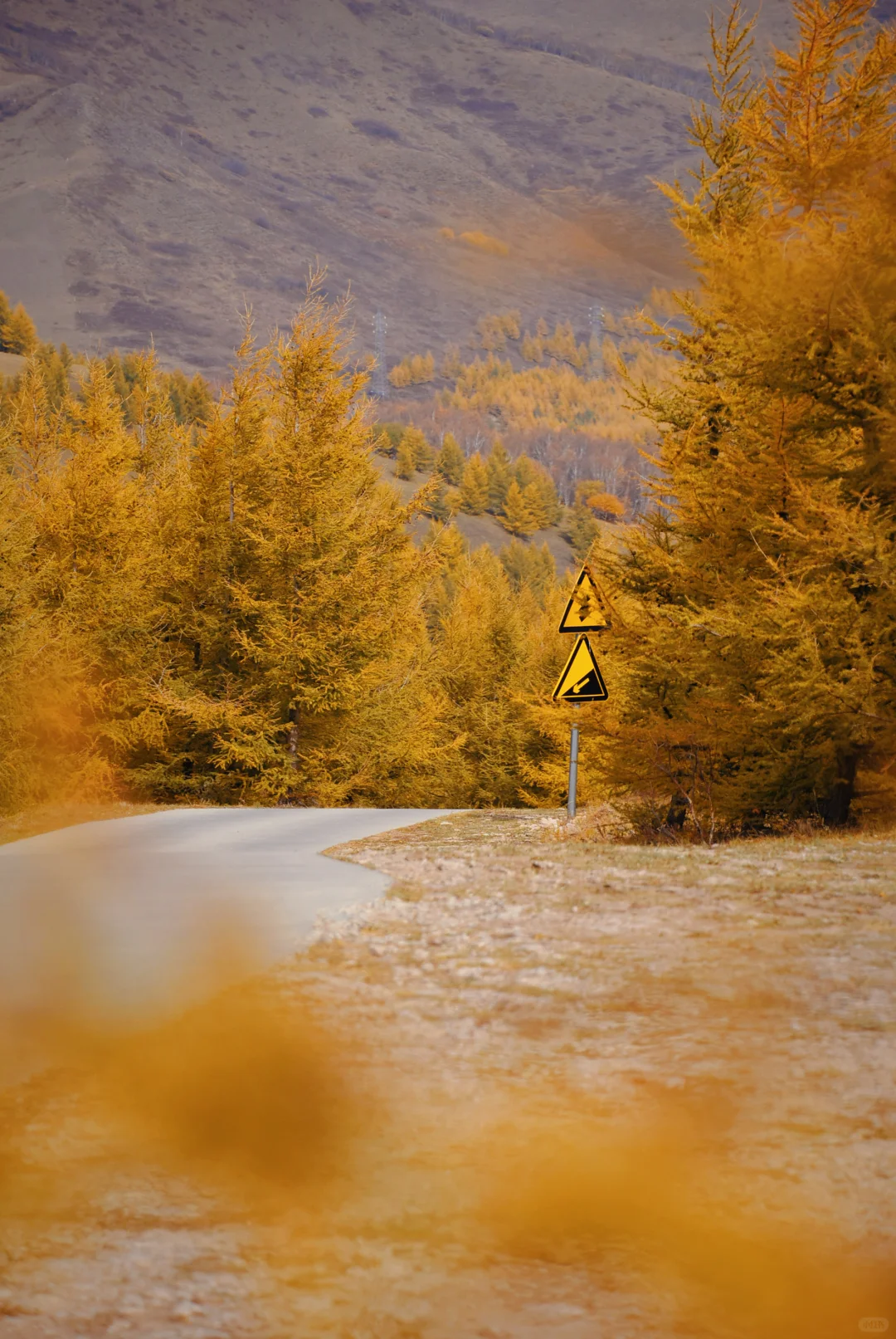 北京自驾|在承德找到了大兴安岭平替🍂