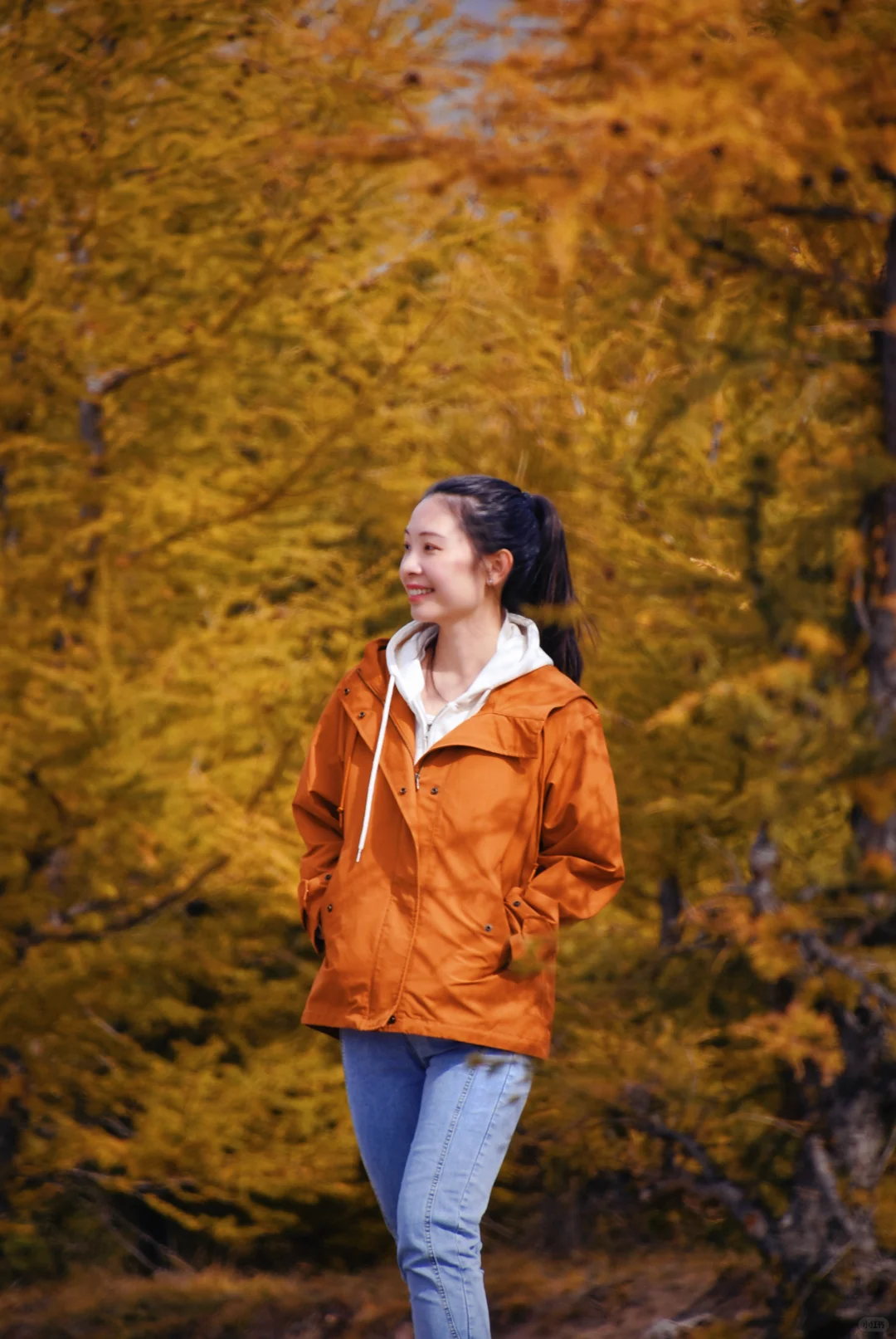 北京自驾|在承德找到了大兴安岭平替🍂