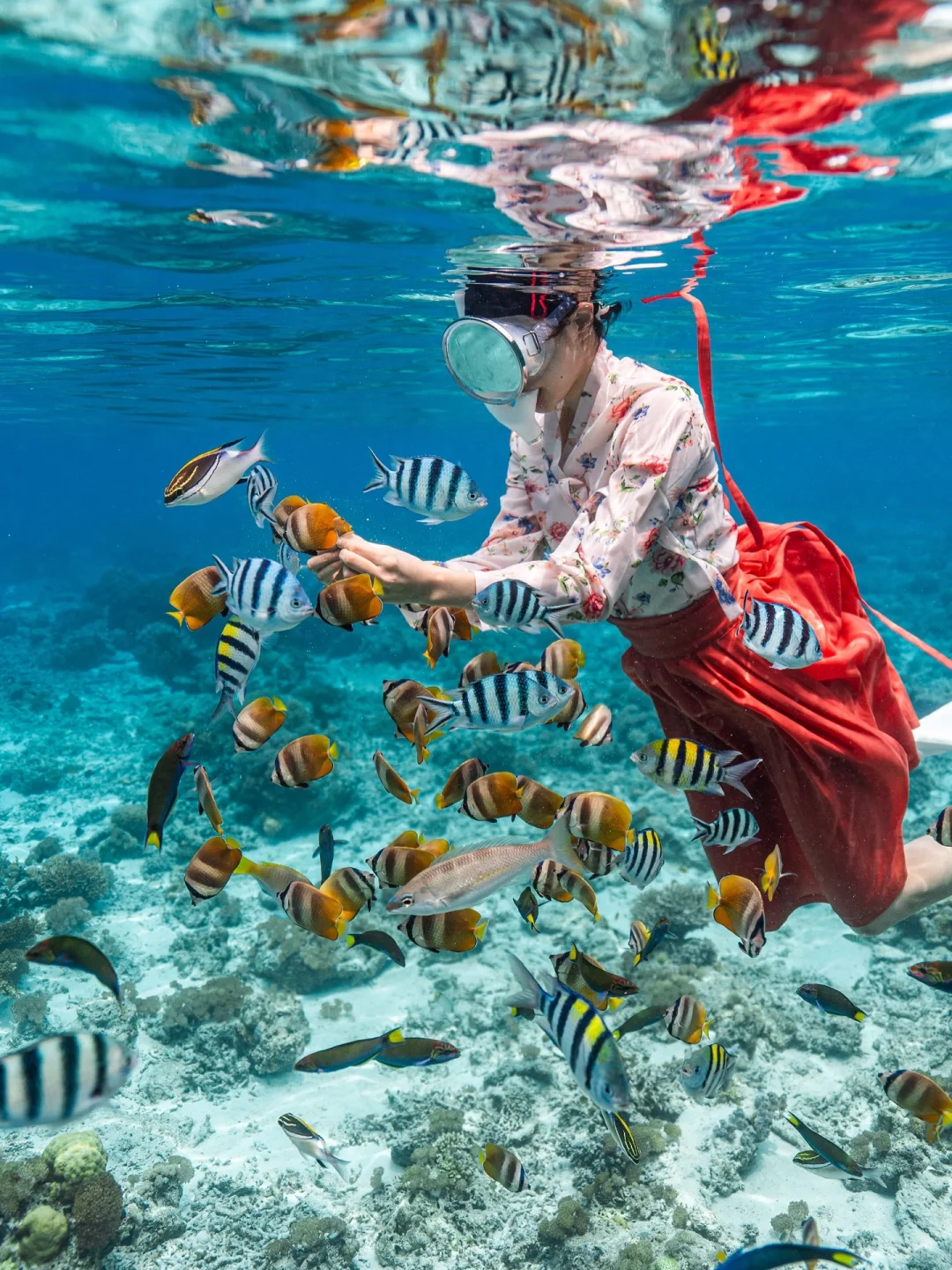 仙本那｜5天4晚人均3.4K，狗都不去我去！！