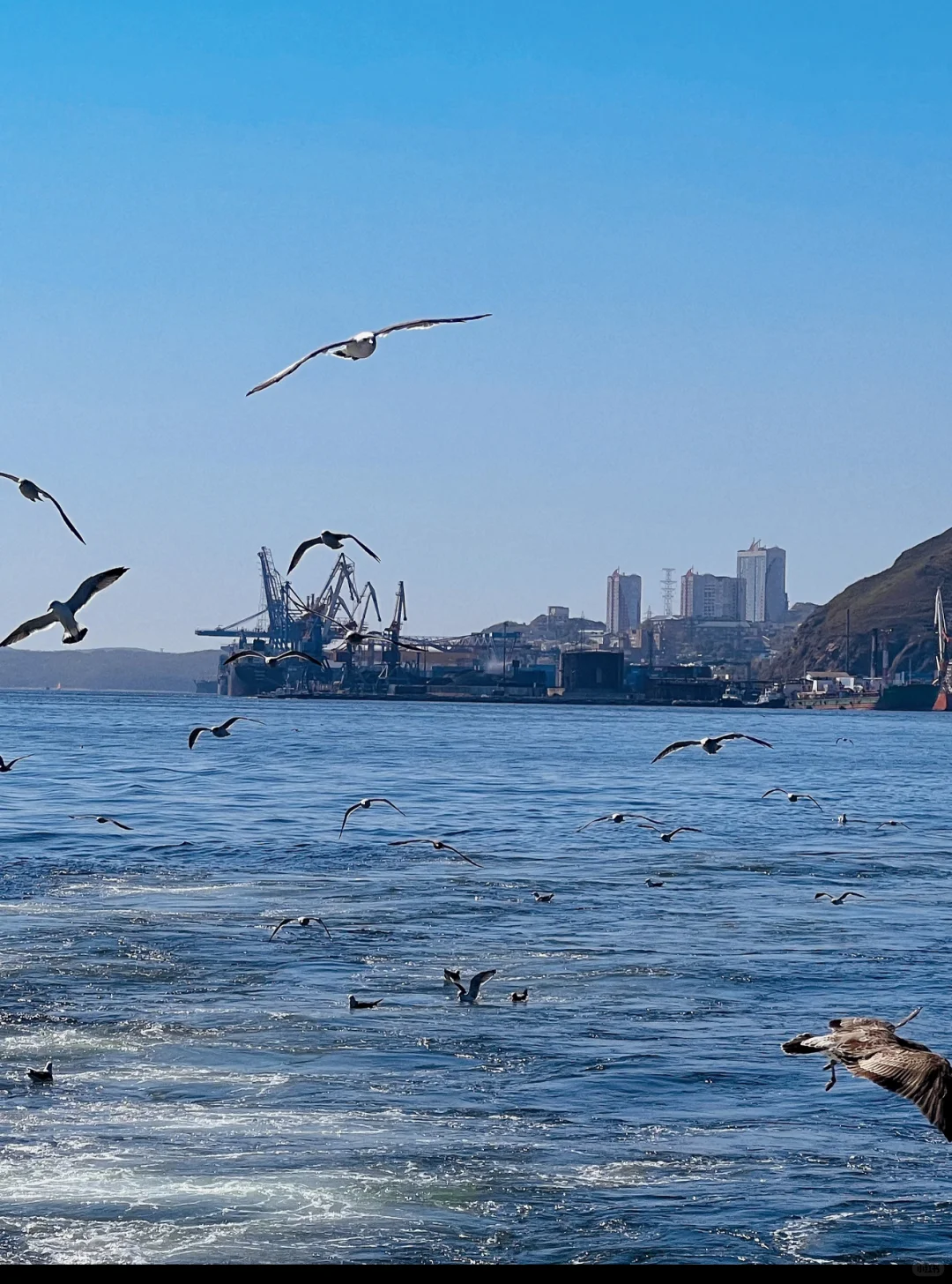 2k假装在欧洲 海参崴4天治愈了我的精神内耗