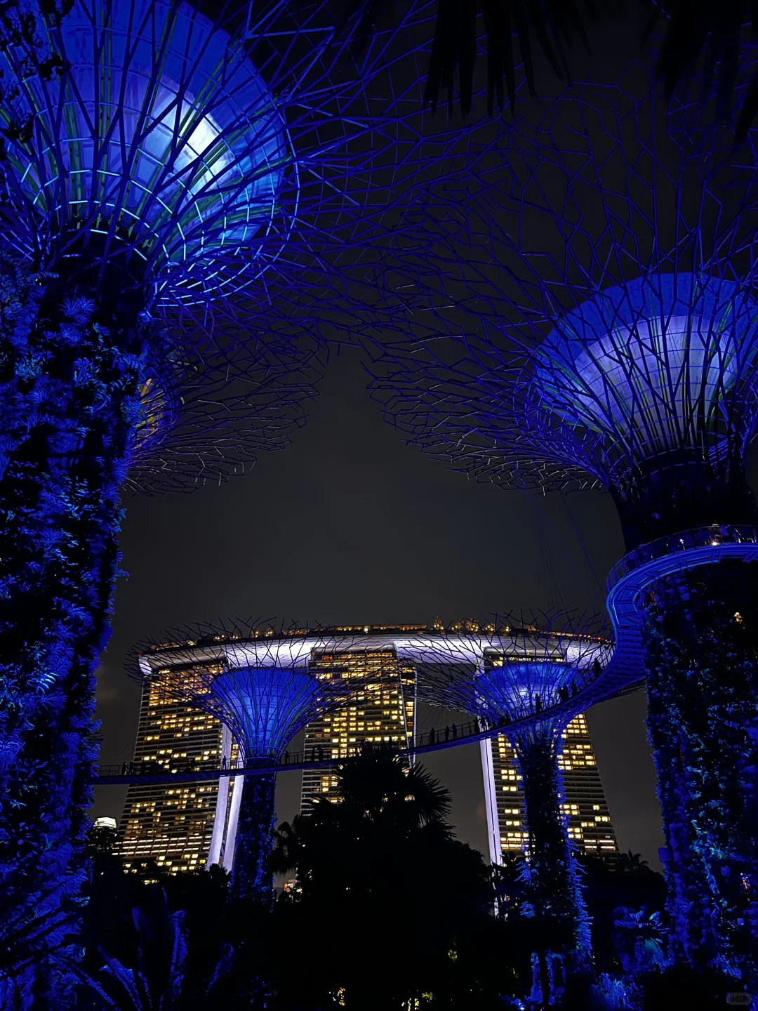 新加坡🇸🇬6天5晚亲子游｜1岁👶宝宝说走就走