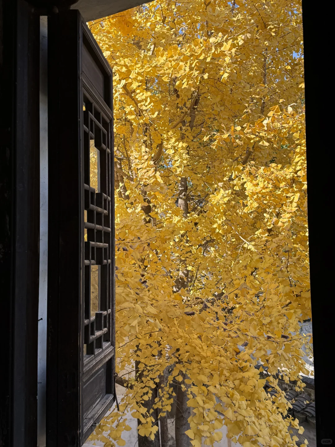 建议全文背诵！无锡最全秋日漫步地图大公开！