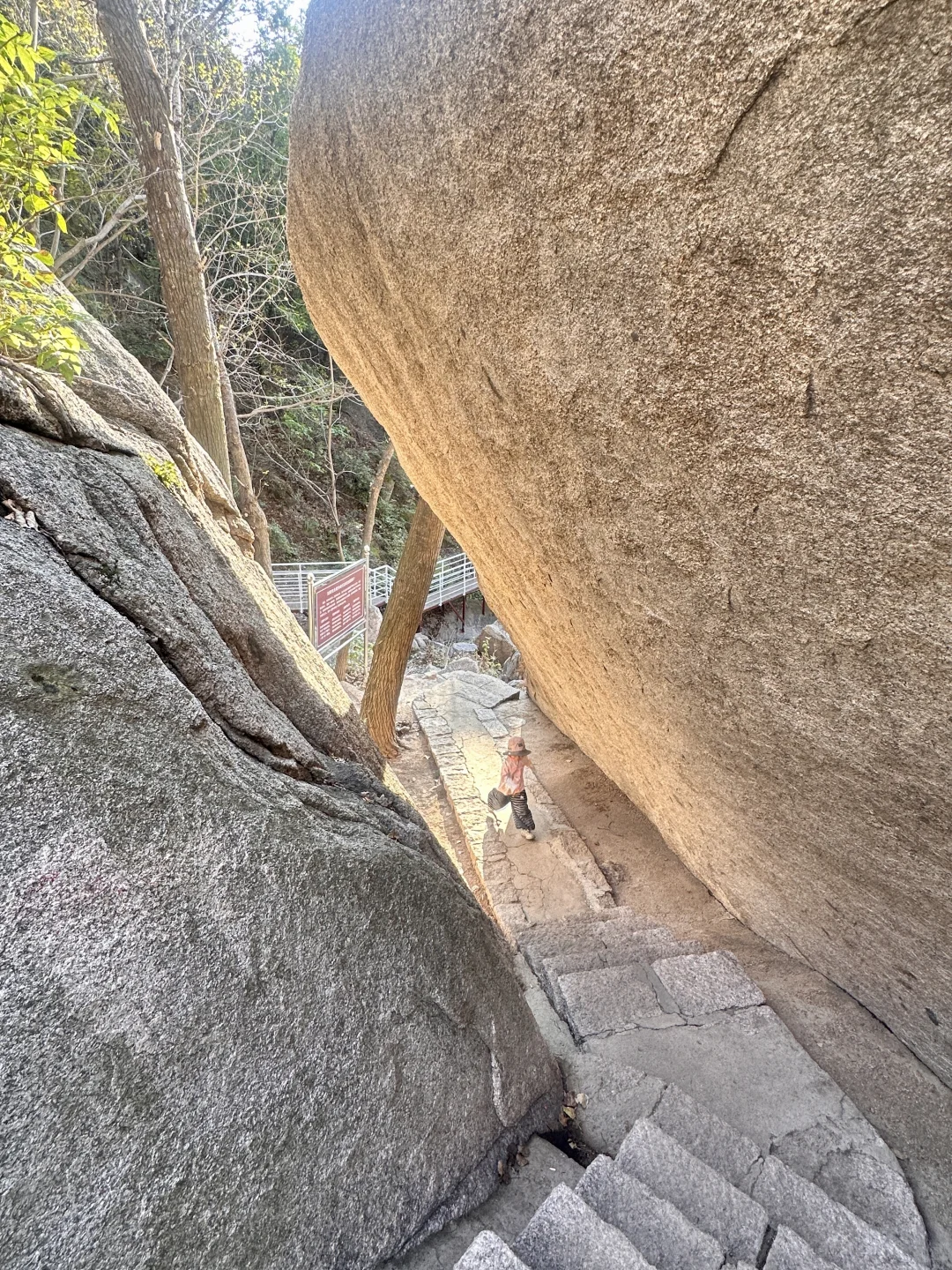 🚗京津周边|山里已层林尽染，人少景美绝绝子