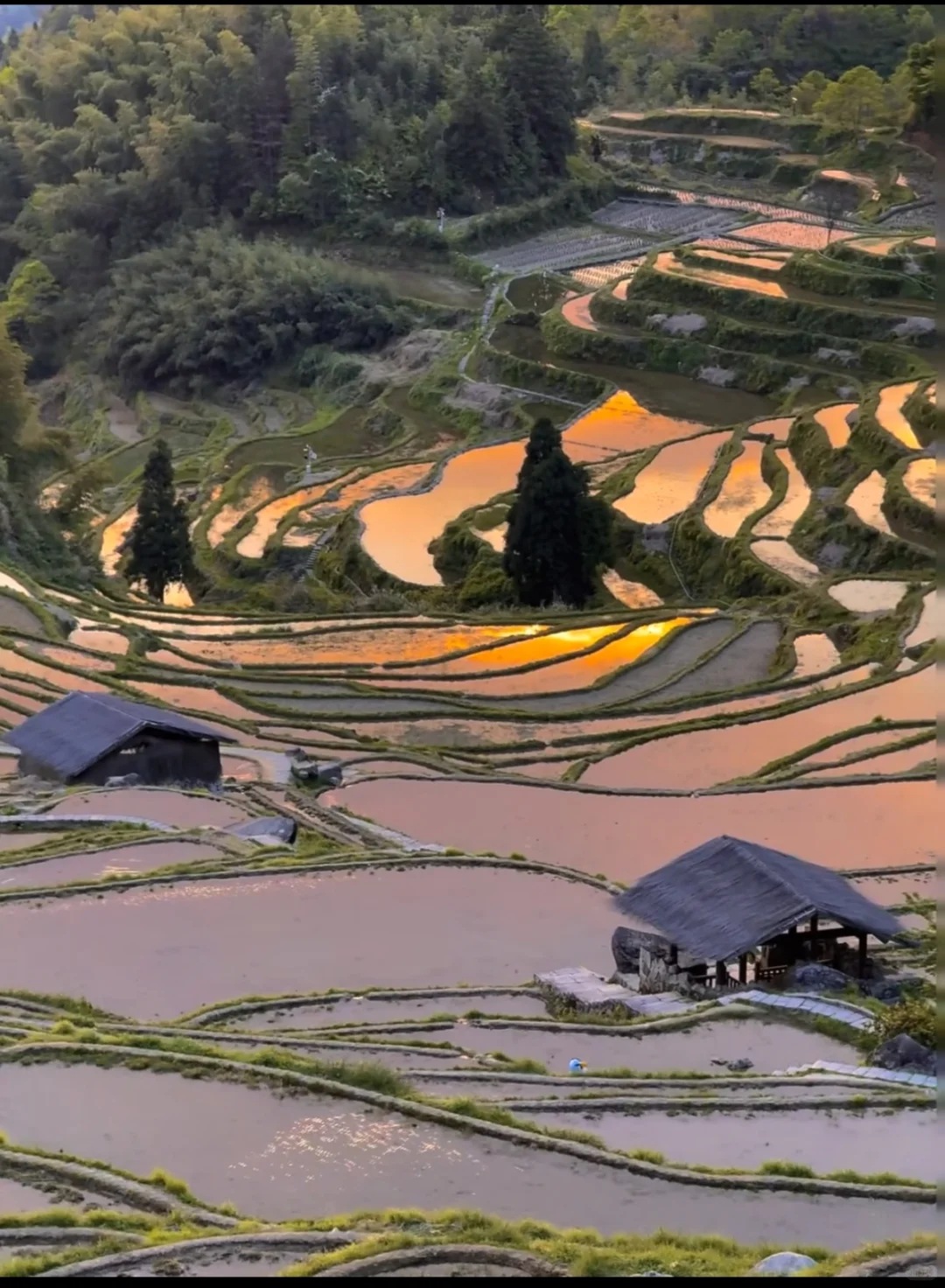 刚从云和梯田回来，给大家一些忠告！