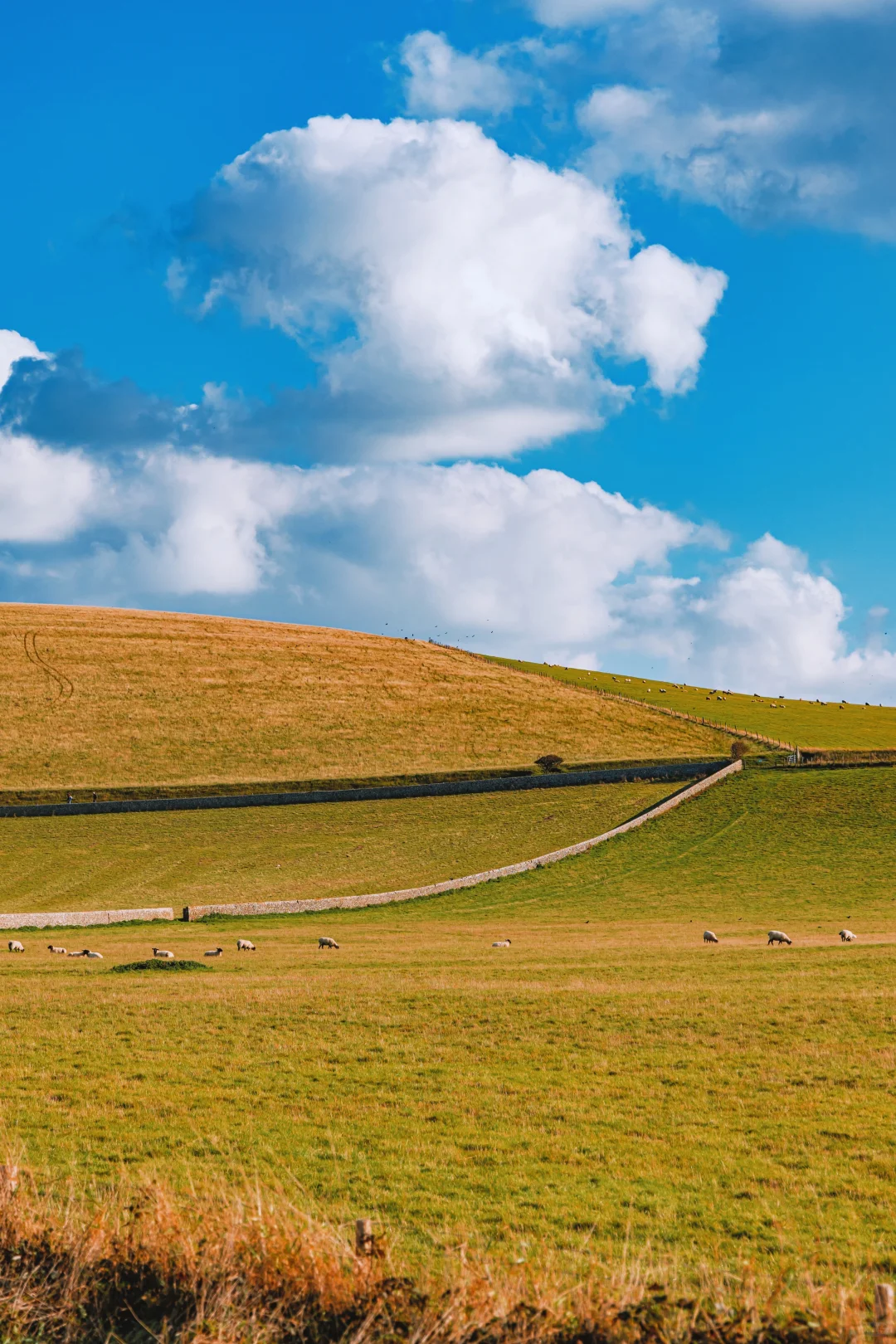 惊艳！交换去年国庆万里晴空🌞下的白崖