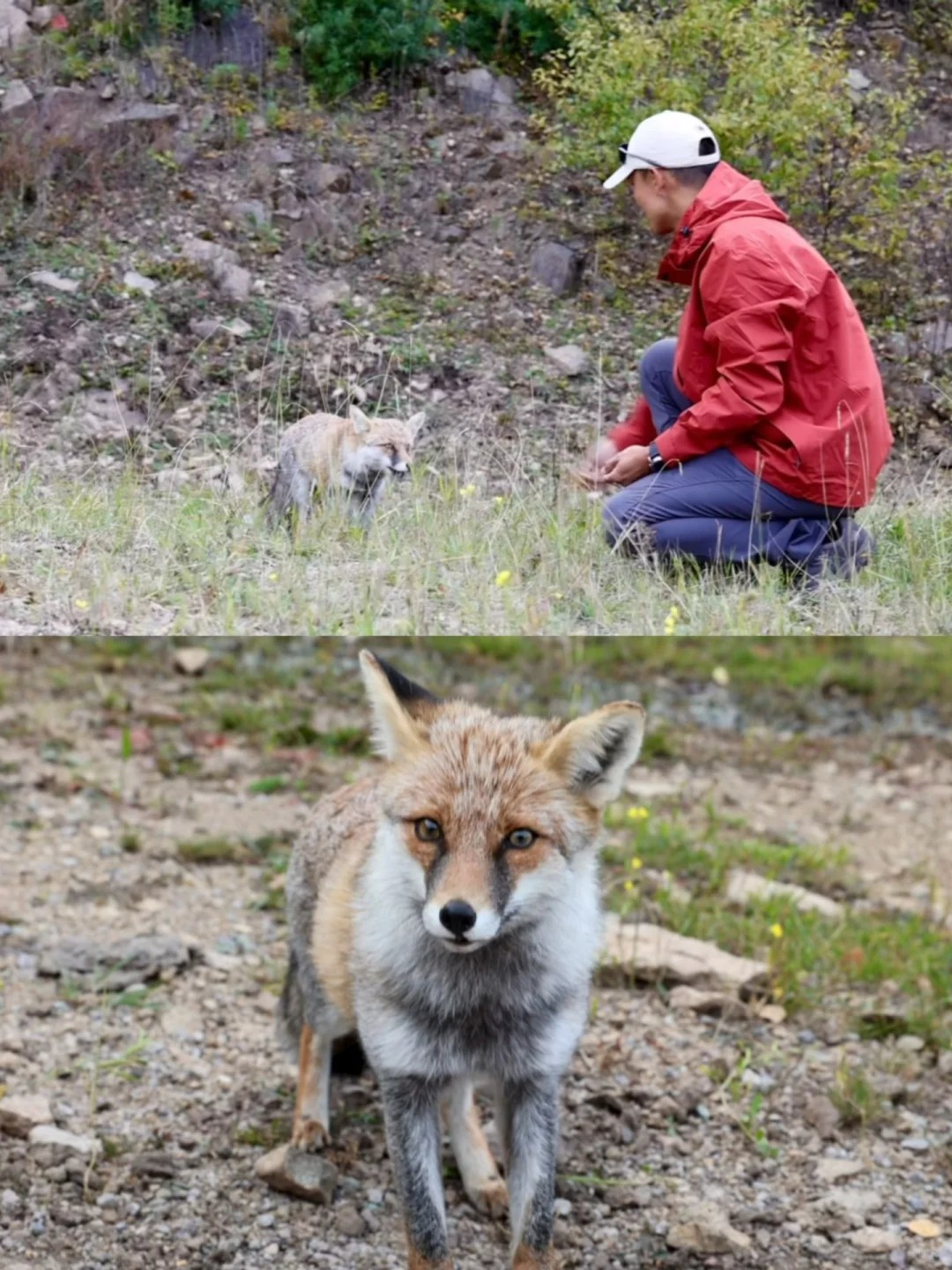 北京3h🚗 闯进了秋天的油画世界！