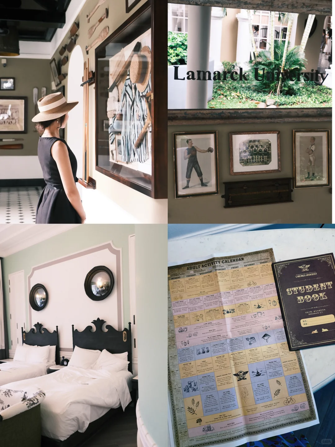 🇻🇳🏖️胡志明+富国岛7天怎么玩！