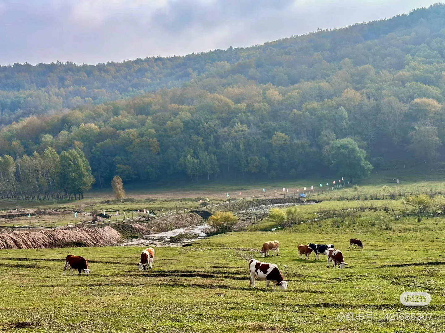 天津周边游|牛马们十一反向出行就选这条路!