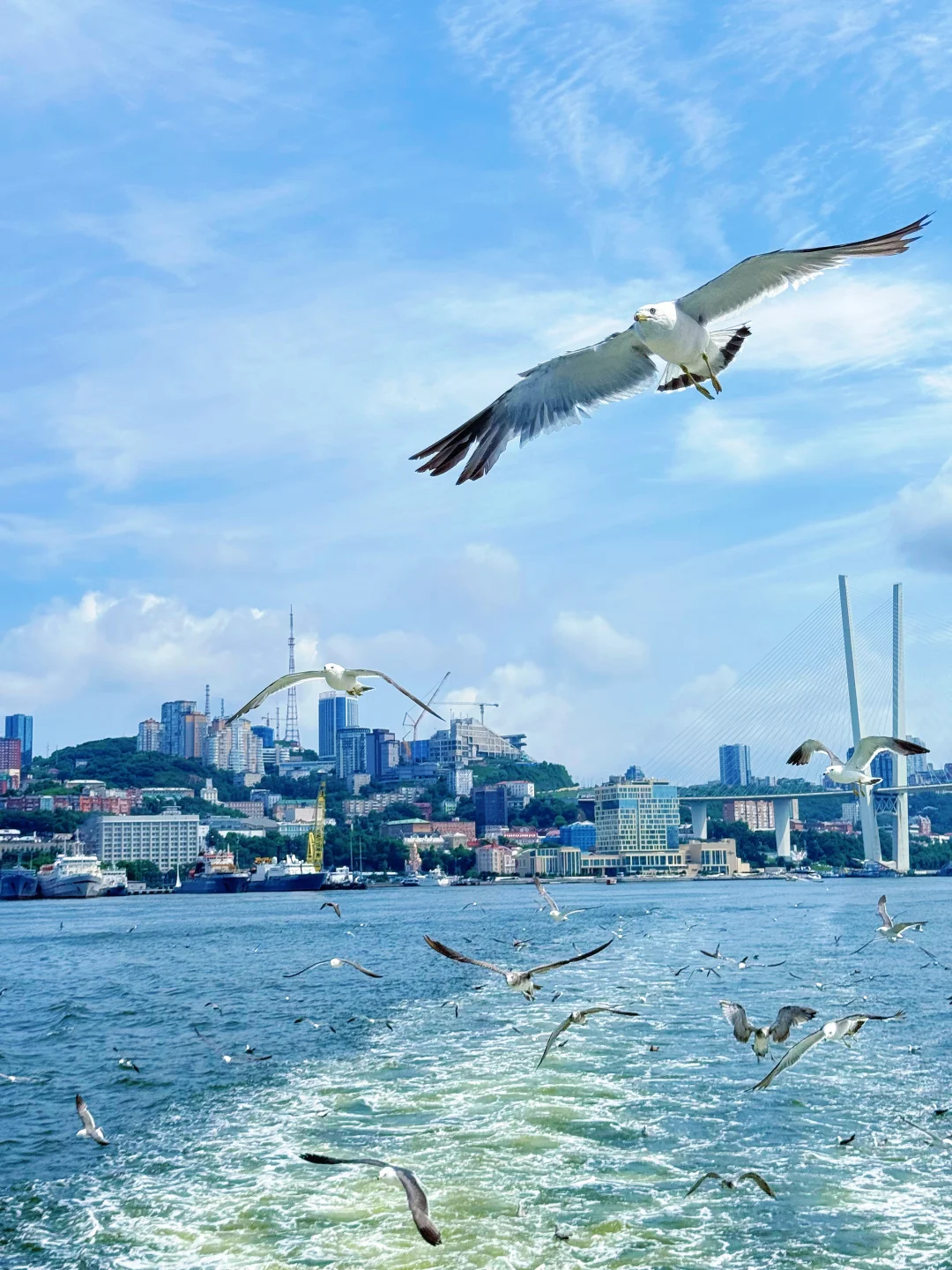 2k假装在欧洲 海参崴4天治愈了我的精神内耗