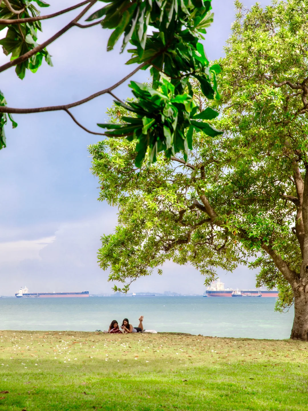 谁懂啊!被J人朋友做的新加坡攻略震撼到啦!!