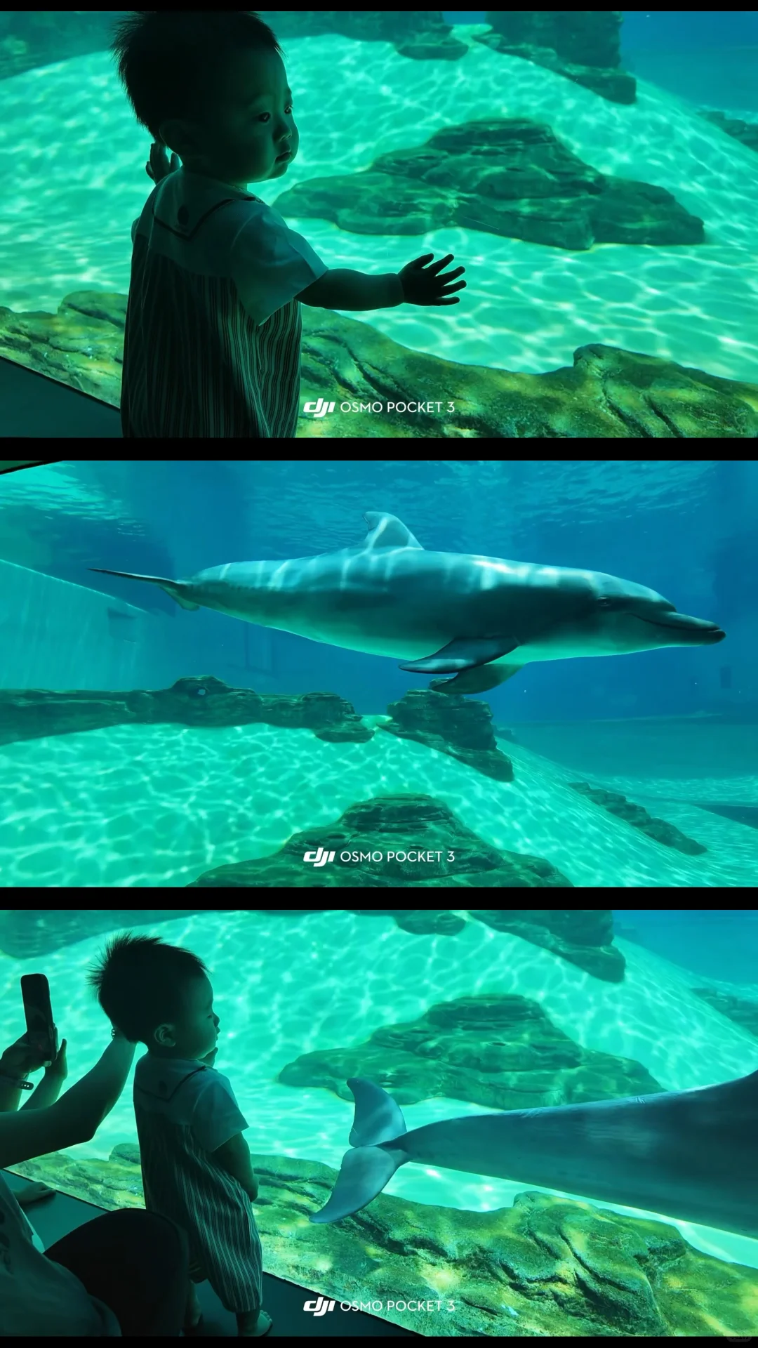 新加坡🇸🇬6天5晚亲子游｜1岁👶宝宝说走就走