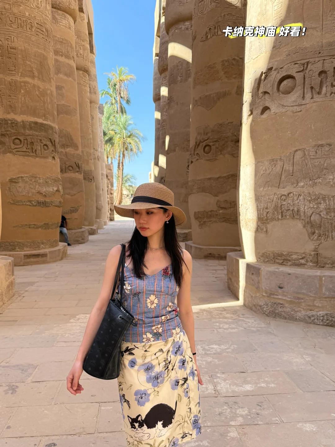 埃及8天4城自由行攻略（附简洁文字版）