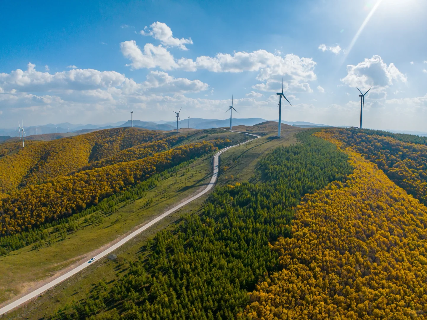 天津周边游|牛马们十一反向出行就选这条路!