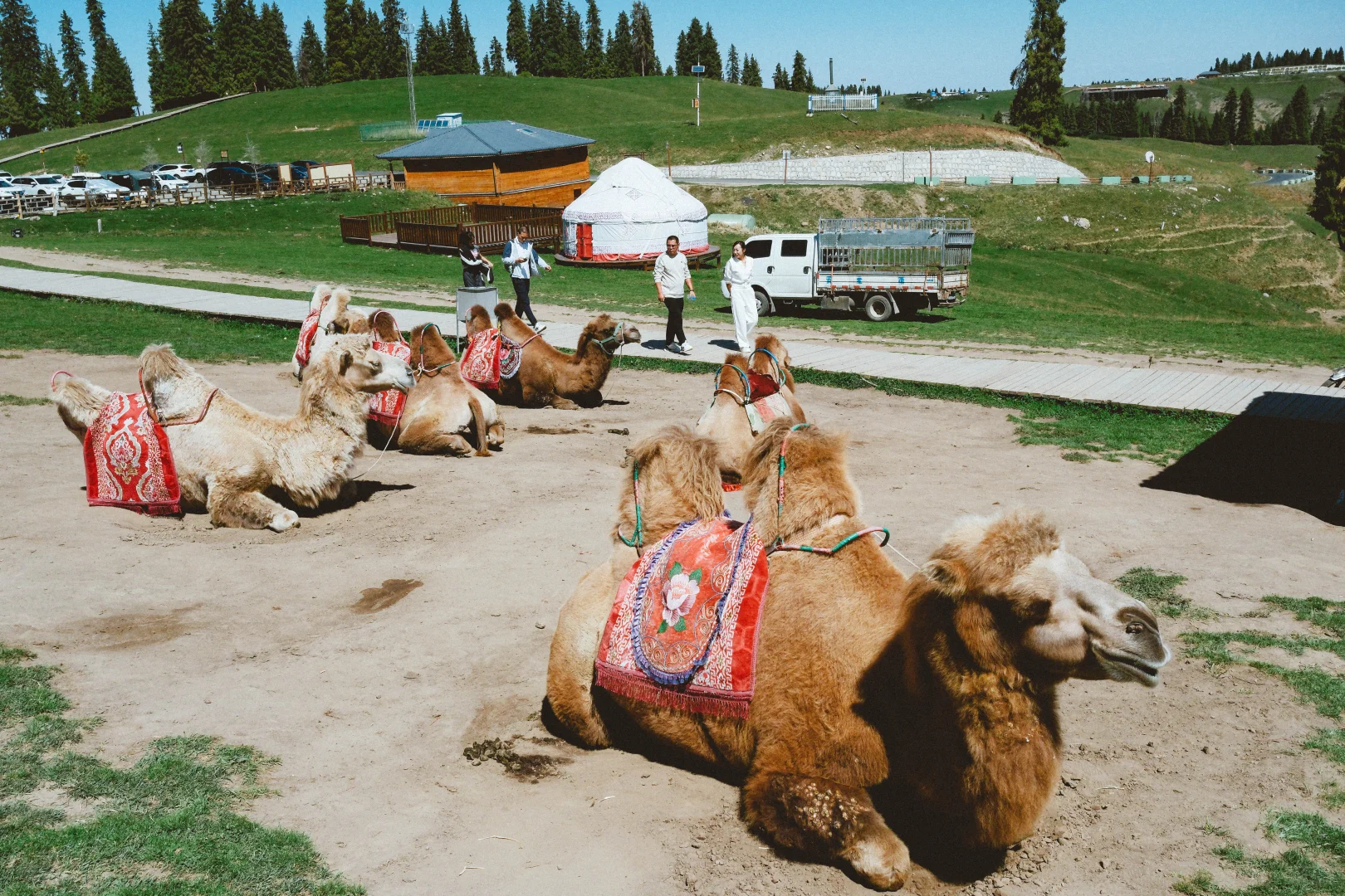 有草原的地方都好可爱呀！