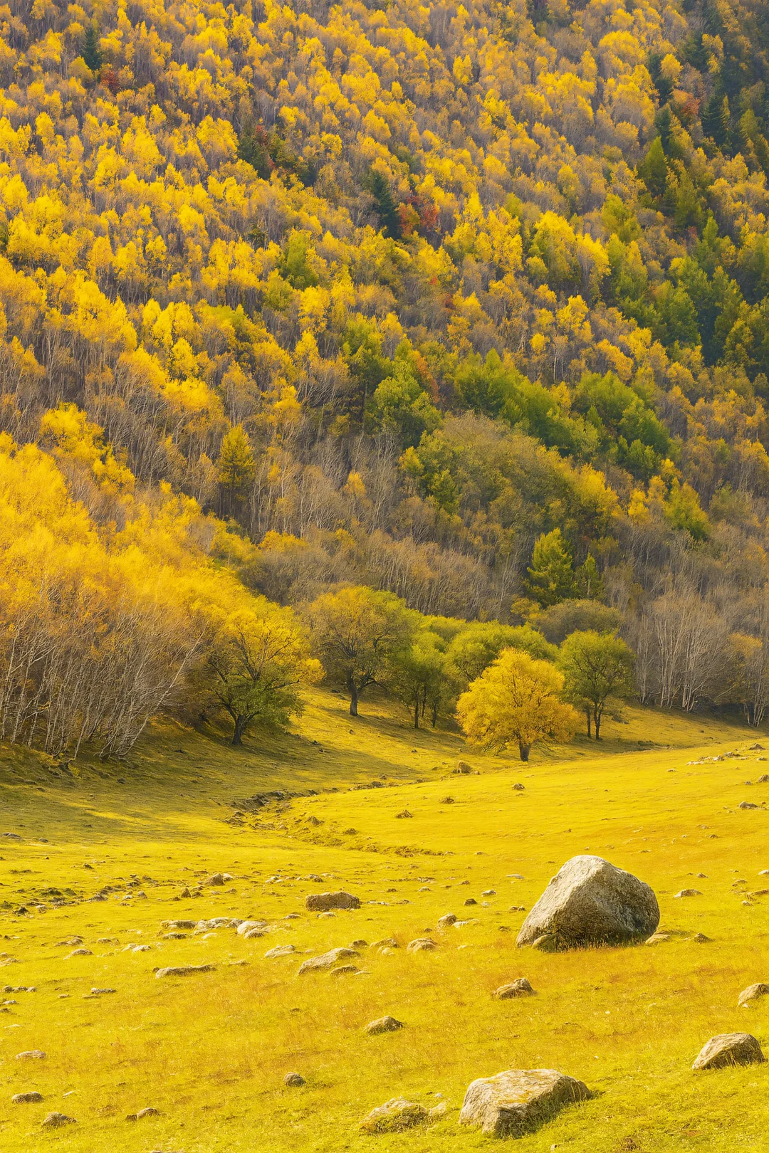 3小时自驾！北京周边遇见“京北阿勒泰”