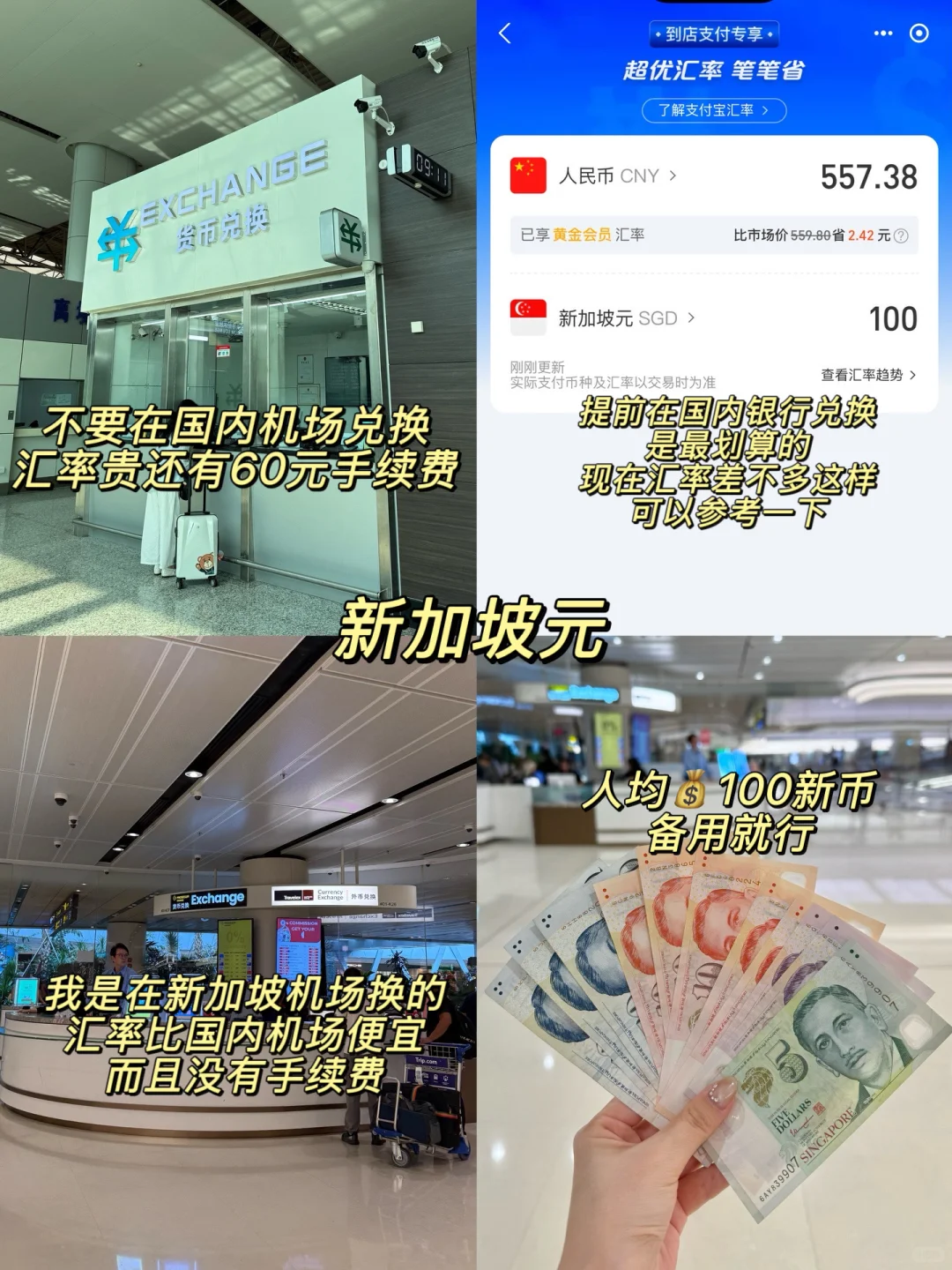 新加坡旅游必备‼️超全攻略看这1️⃣篇就行！！