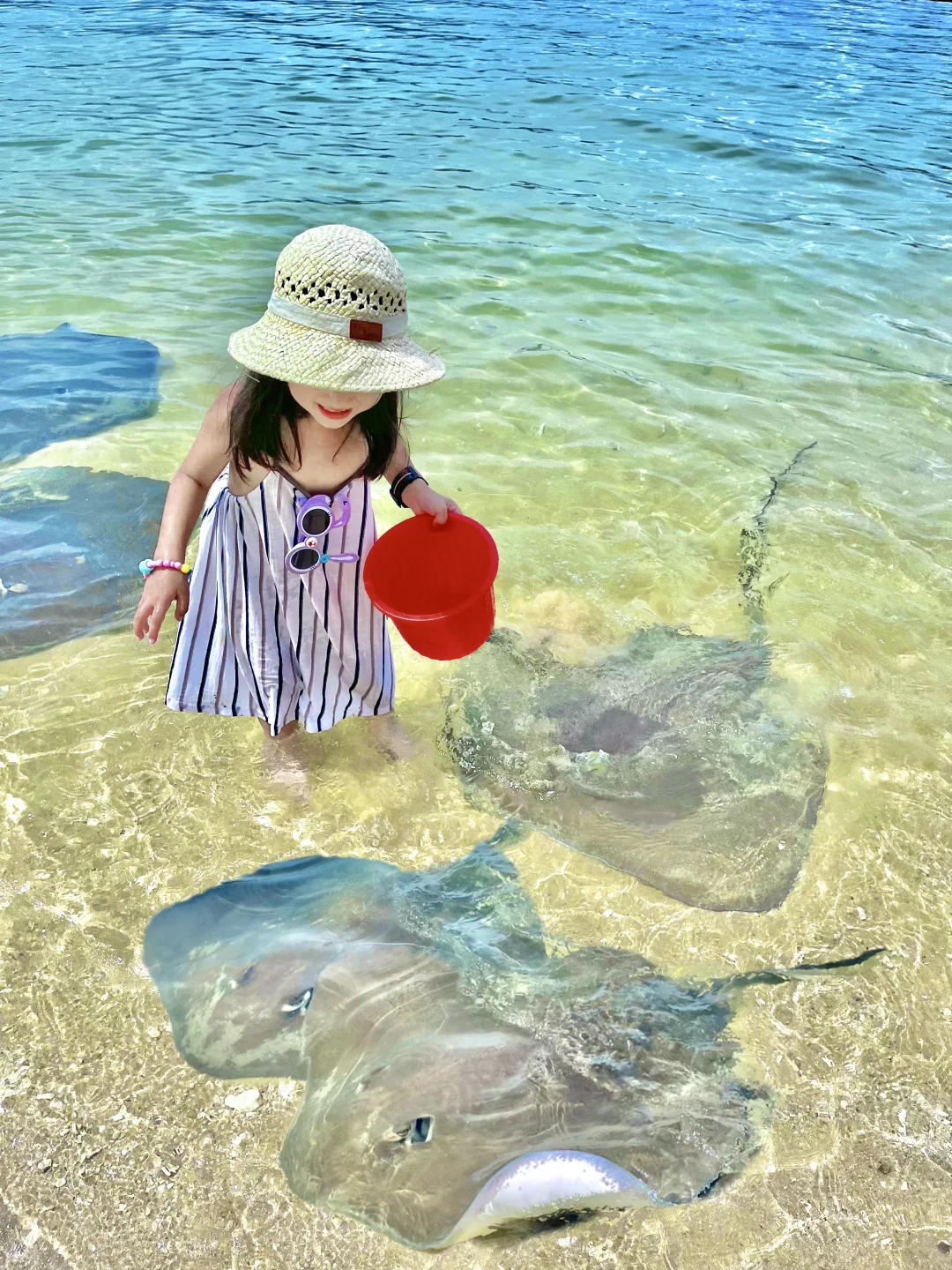 带娃三刷陵水，一点都不累！比迪士尼还好玩❗️