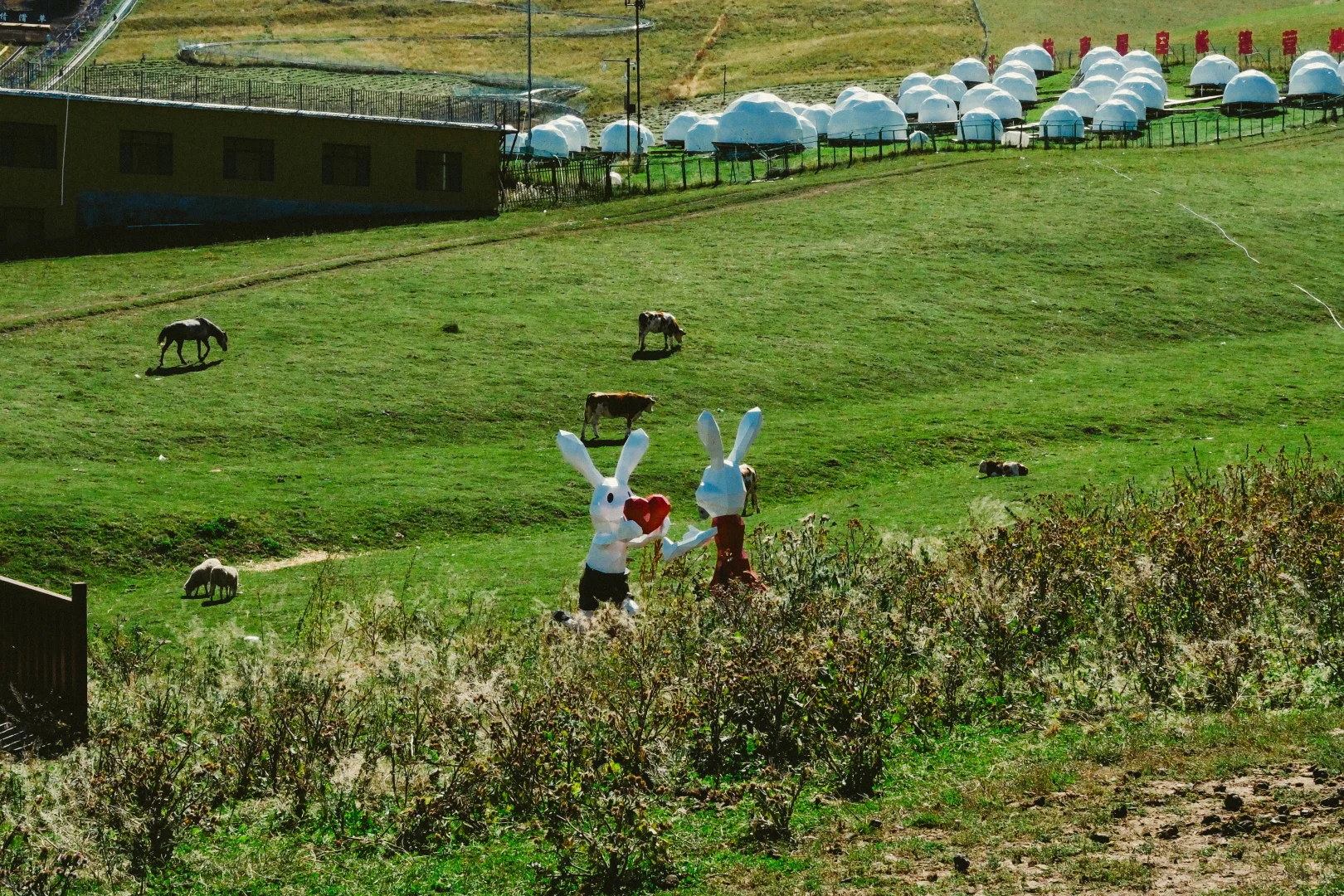有草原的地方都好可爱呀！