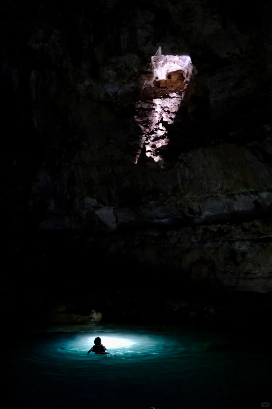 📸2021-2022最喜欢的18张图存档