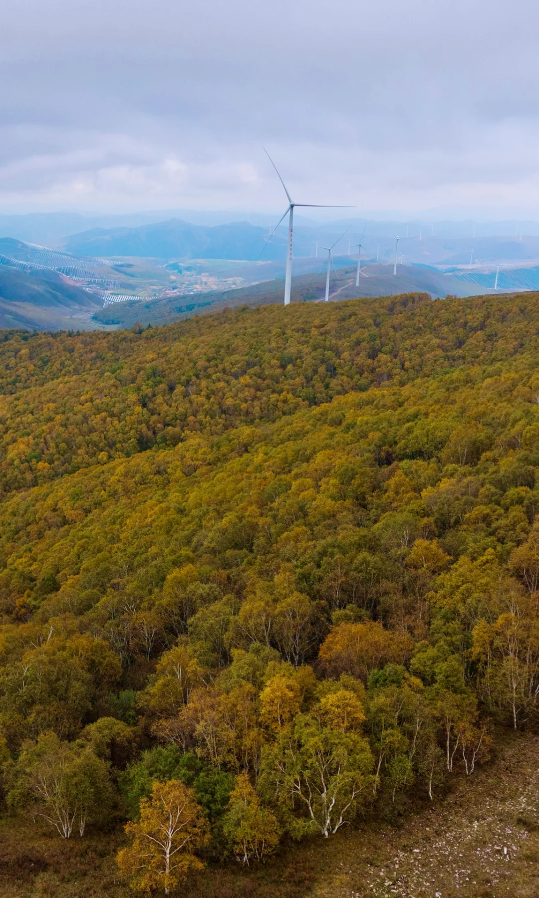 北京3h🚗 闯进了秋天的油画世界！
