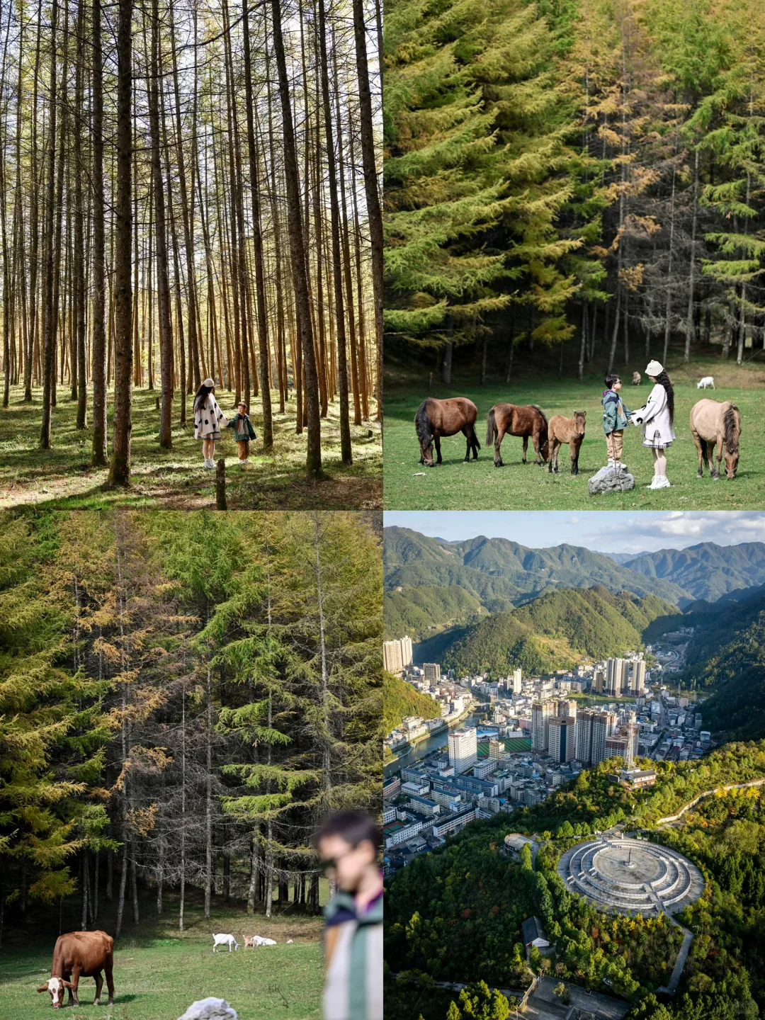 十一反向旅游👉这8个宝藏小城人少又小众