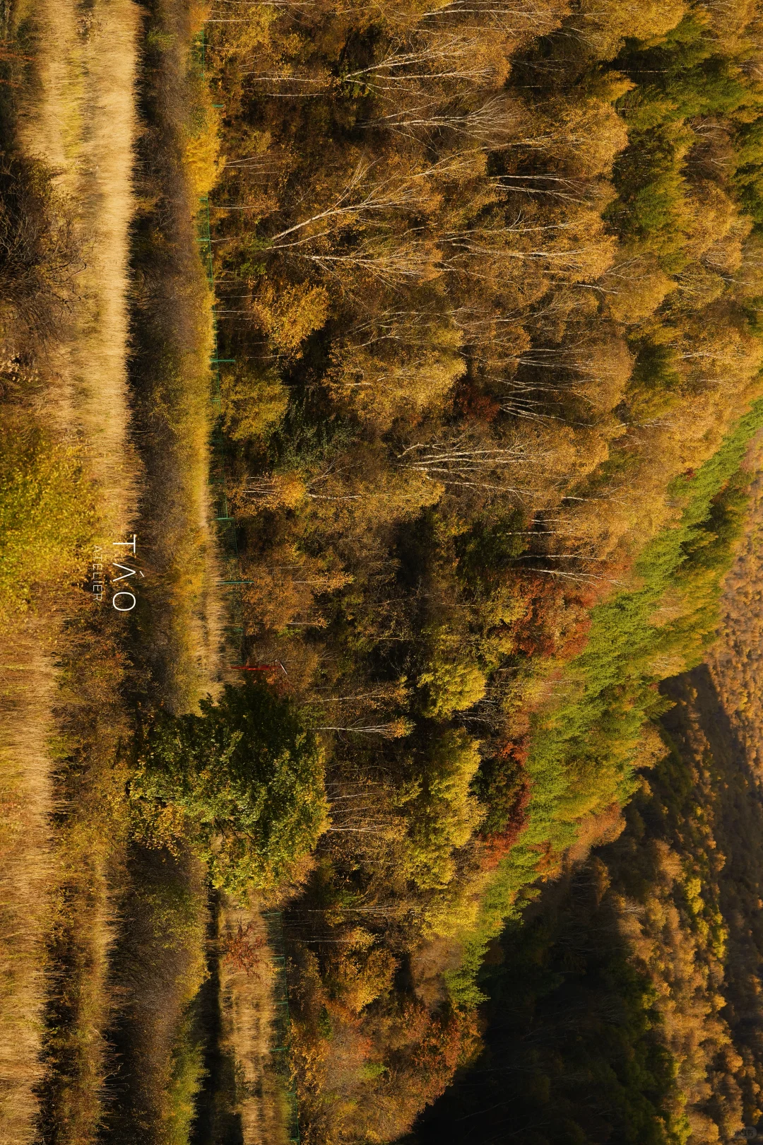 🍁崇礼六大赏秋秘境｜闯入金色童话世界