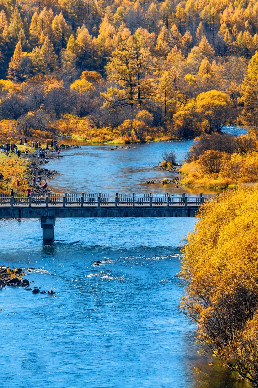 阿尔山，满足了我对大兴安岭秋天的所有幻想