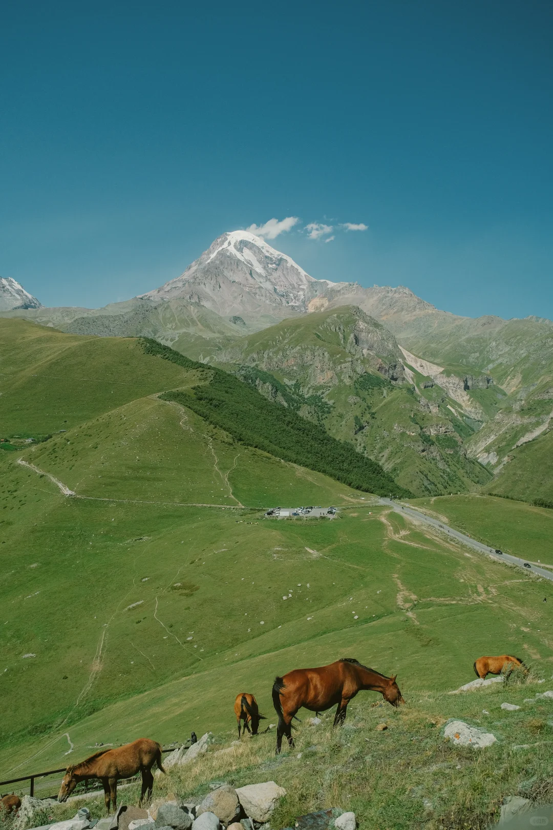 亚欧非环线之格鲁吉亚🇬🇪攻略篇