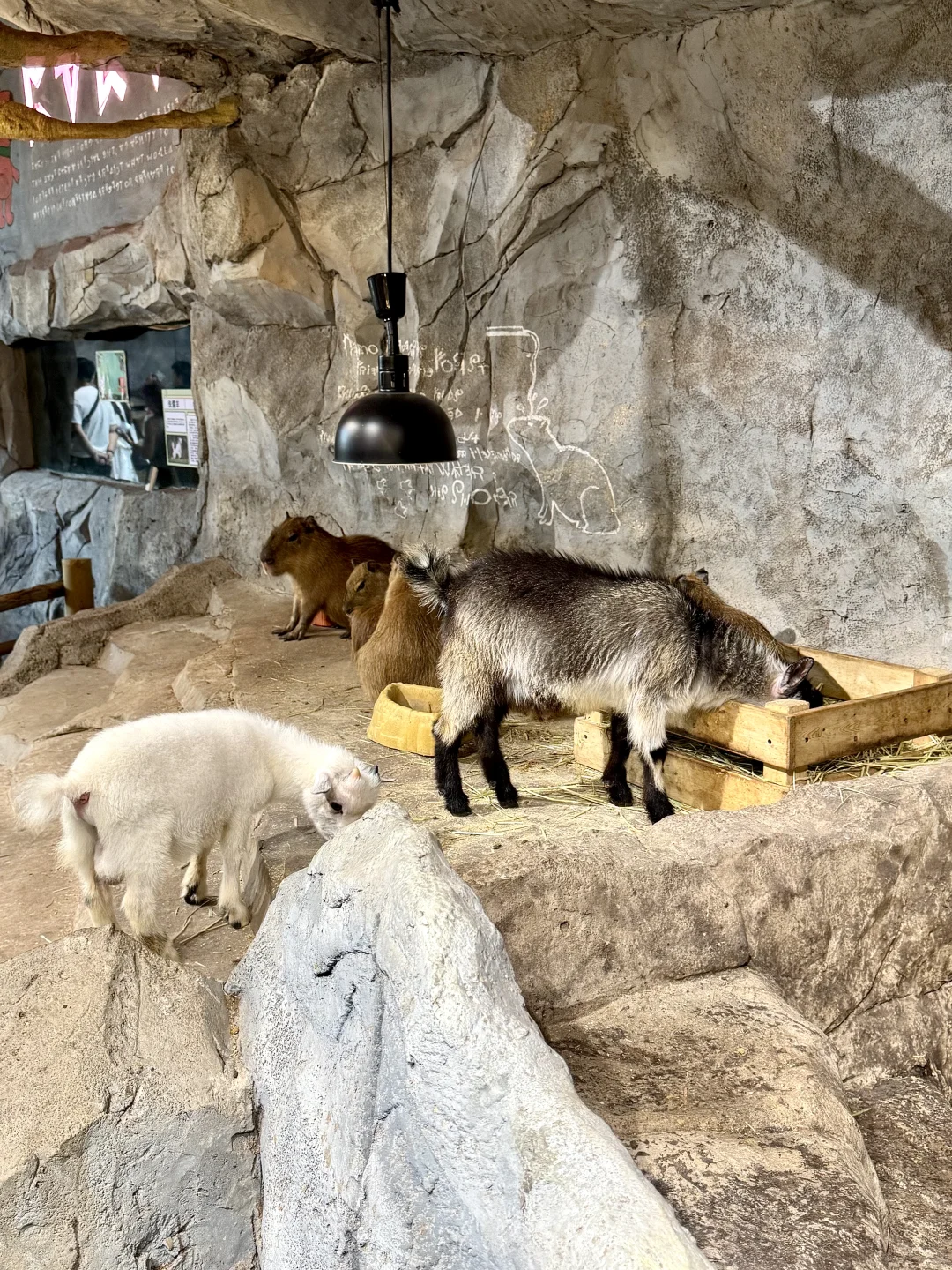 用18张图纪念我的长沙之旅🥹🐾