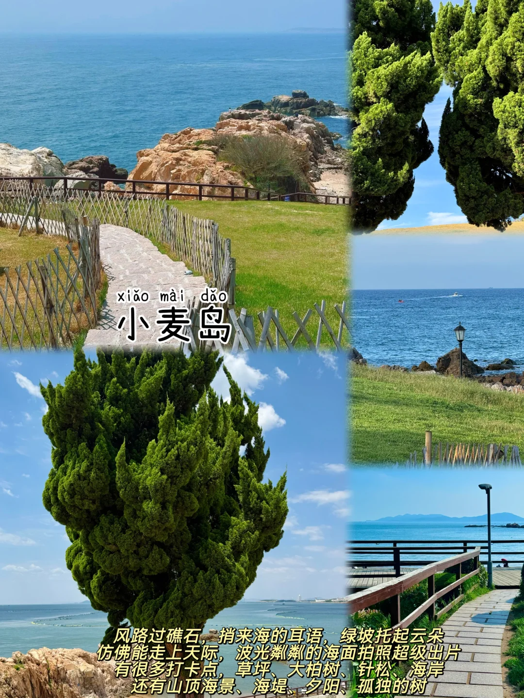 青岛📍两天一夜｜保姆级逛吃攻略，超详细