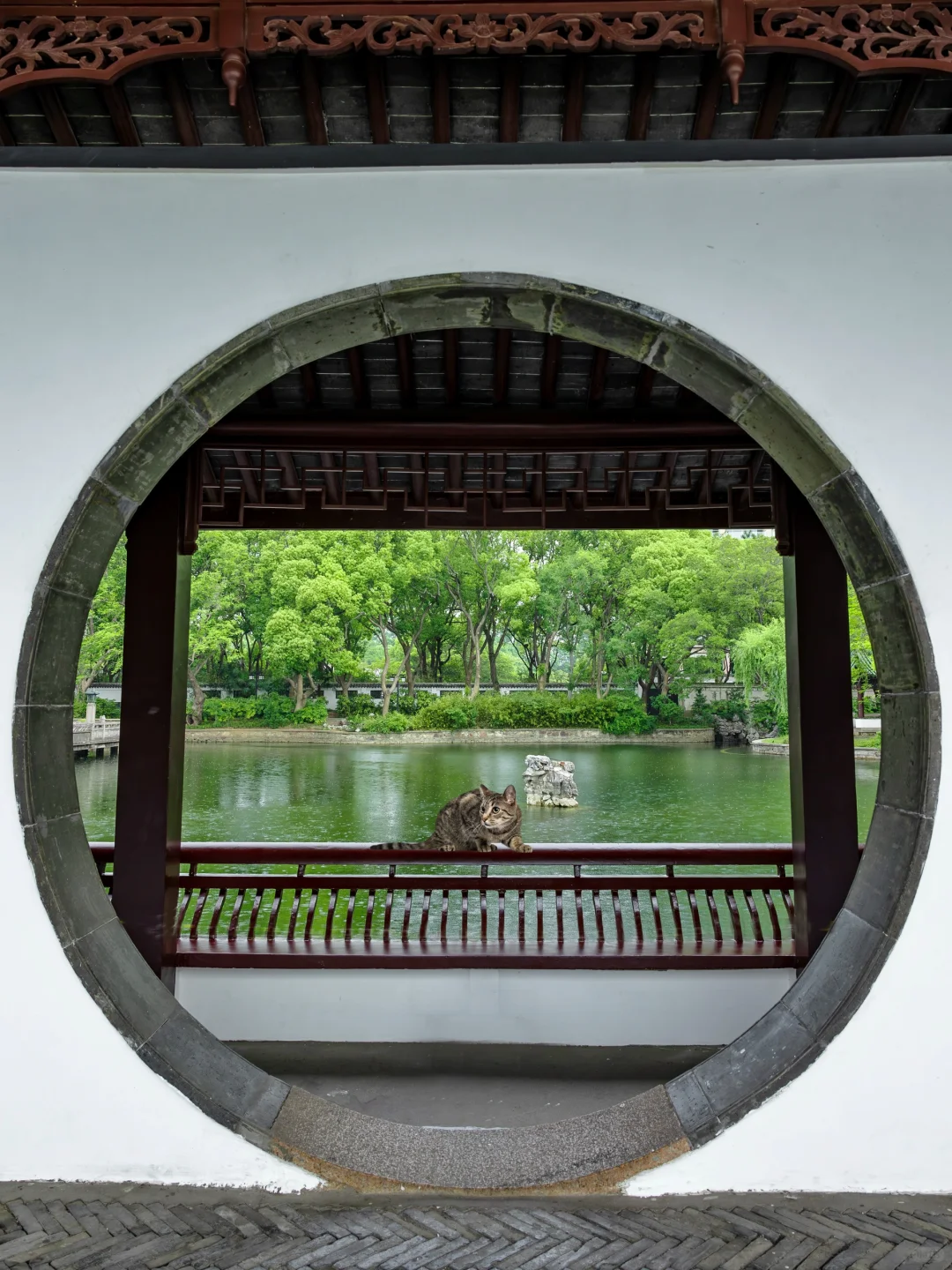 苏州园林已经很美了｜直到我来到了这里……