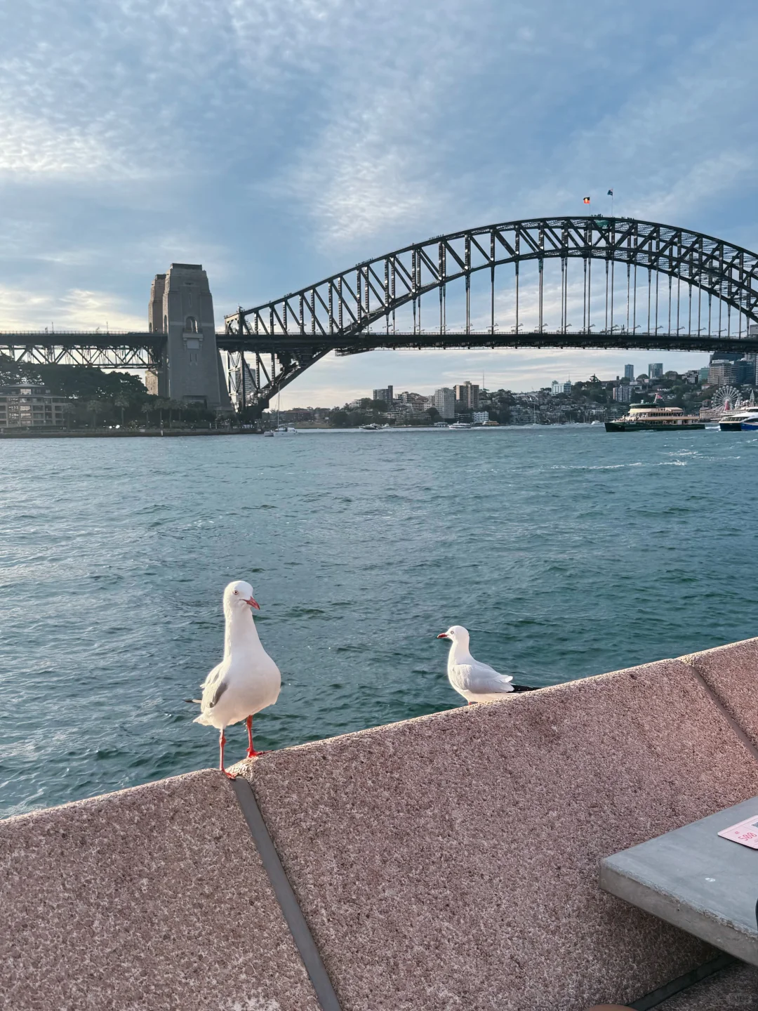 国庆大军第一批已抵达南半球🇦🇺感受春天💐