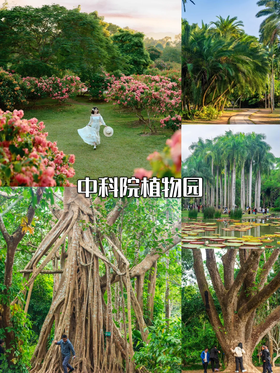 2025 国庆云南全攻略｜昆大丽一次玩遍🥁