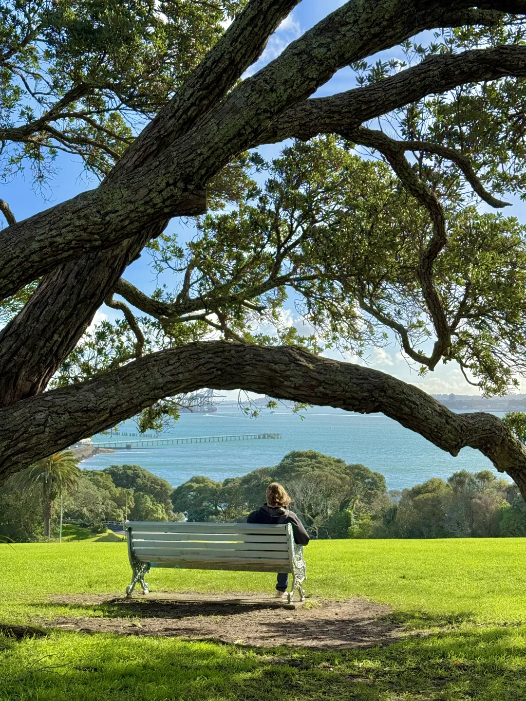 奥克兰已回，坚决不删！！！能劝一个是一个……