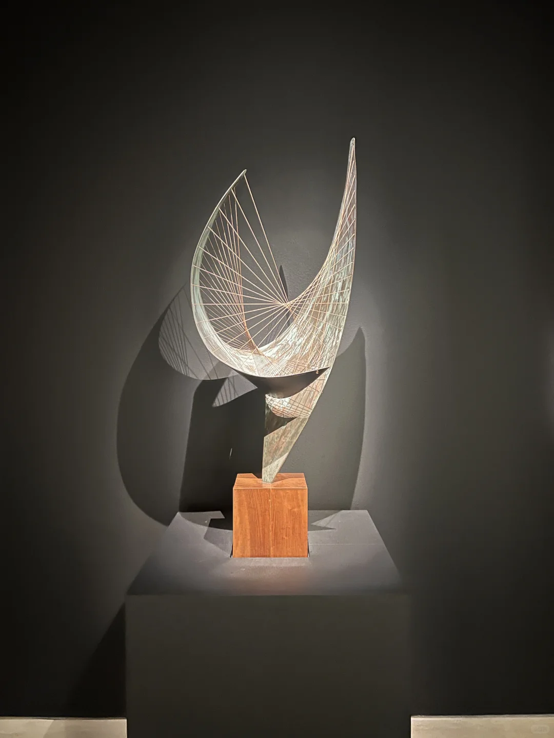 澳洲🇦🇺悉尼7天6夜-谢谢姐夫带我出去玩😍