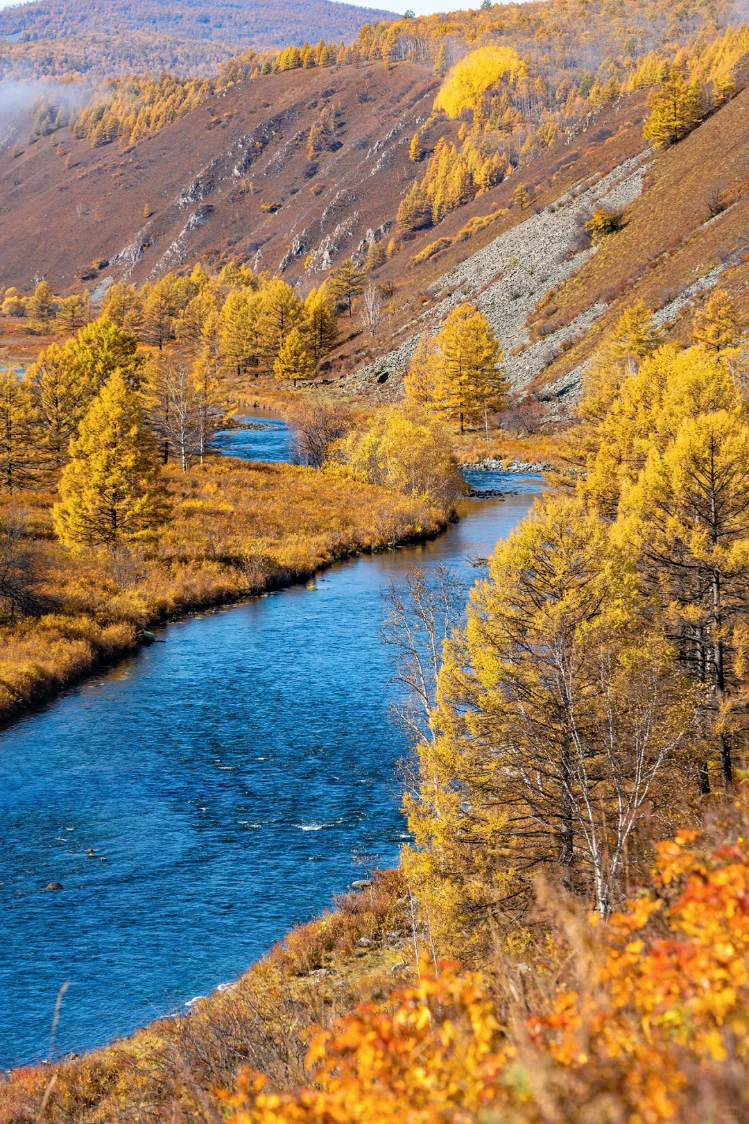 阿尔山，满足了我对大兴安岭秋天的所有幻想