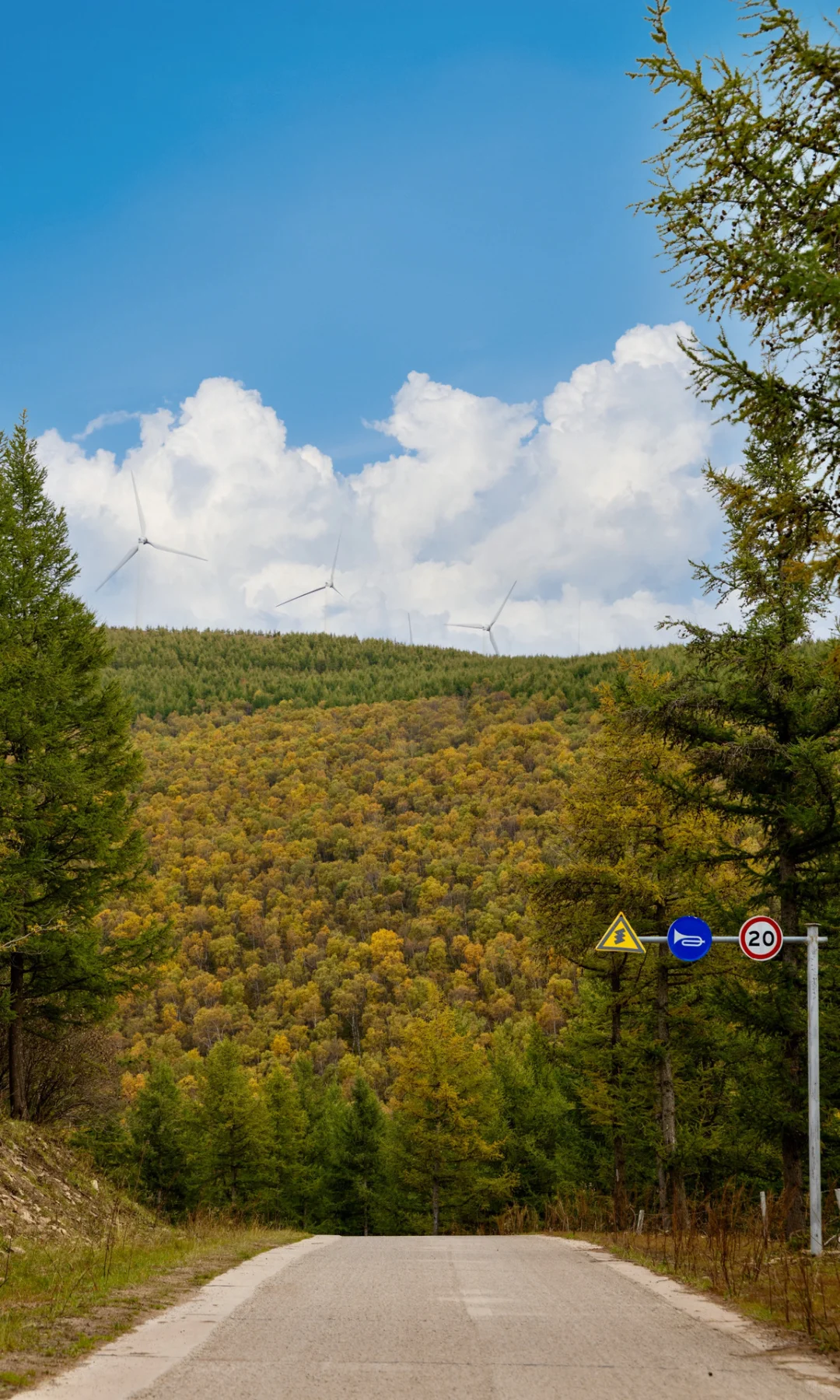 北京3h🚗 闯进了秋天的油画世界！