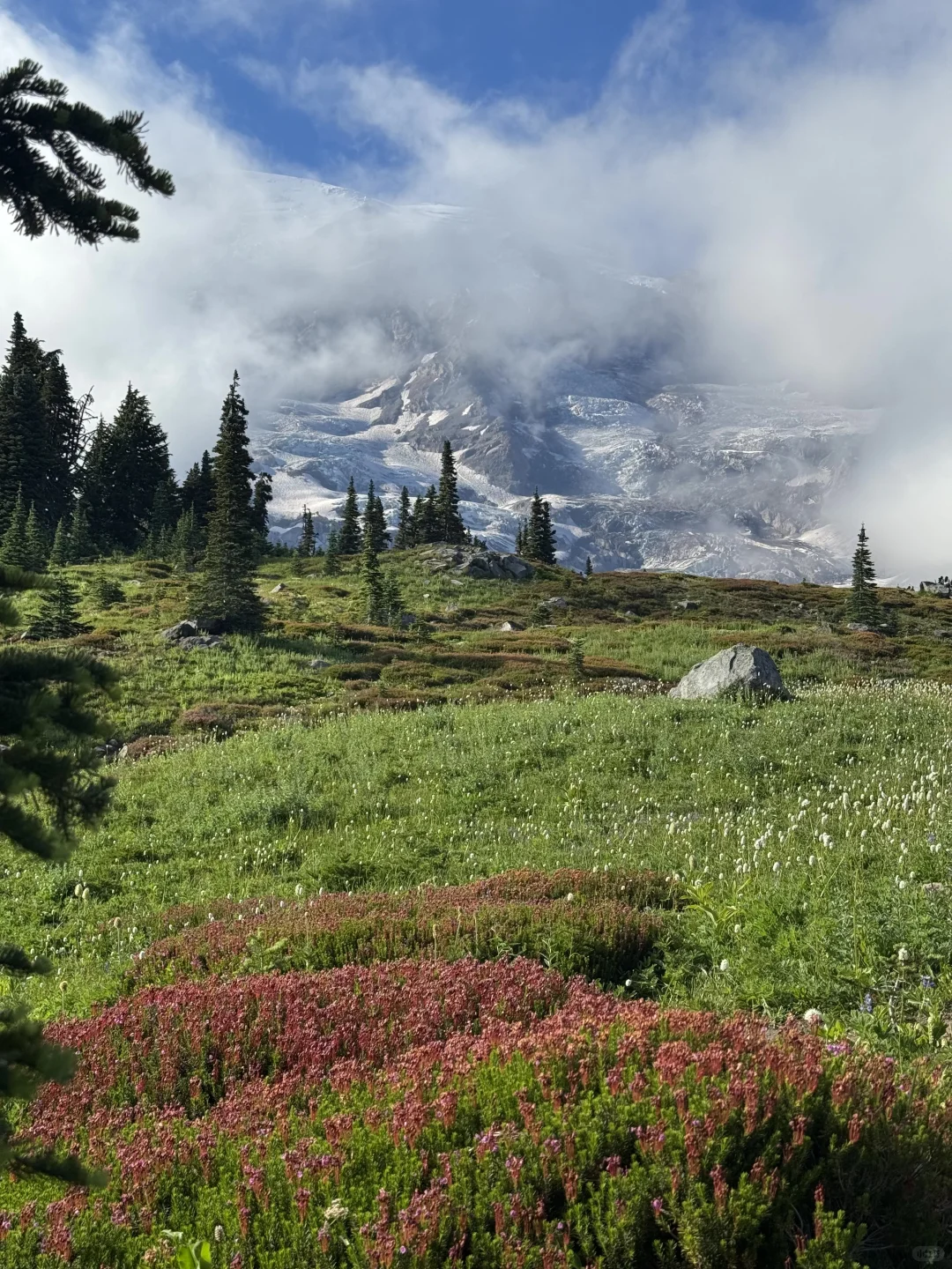 Rainier雷尼尔周末不排队
