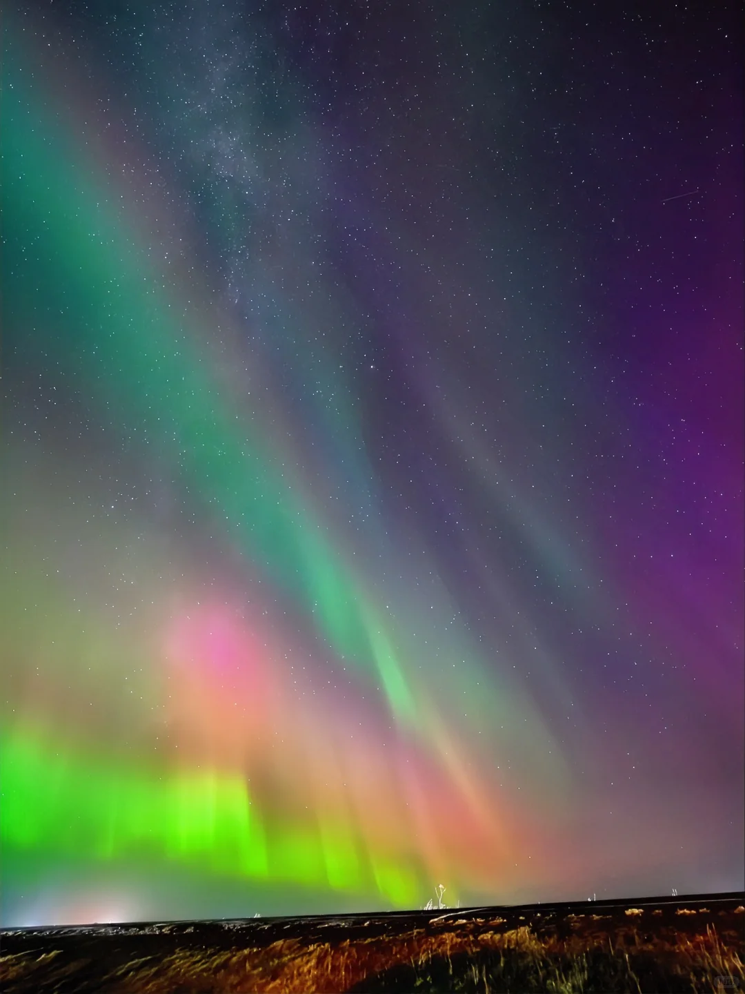 十一黄金周出境游｜挪威冰岛旅行指南请查收