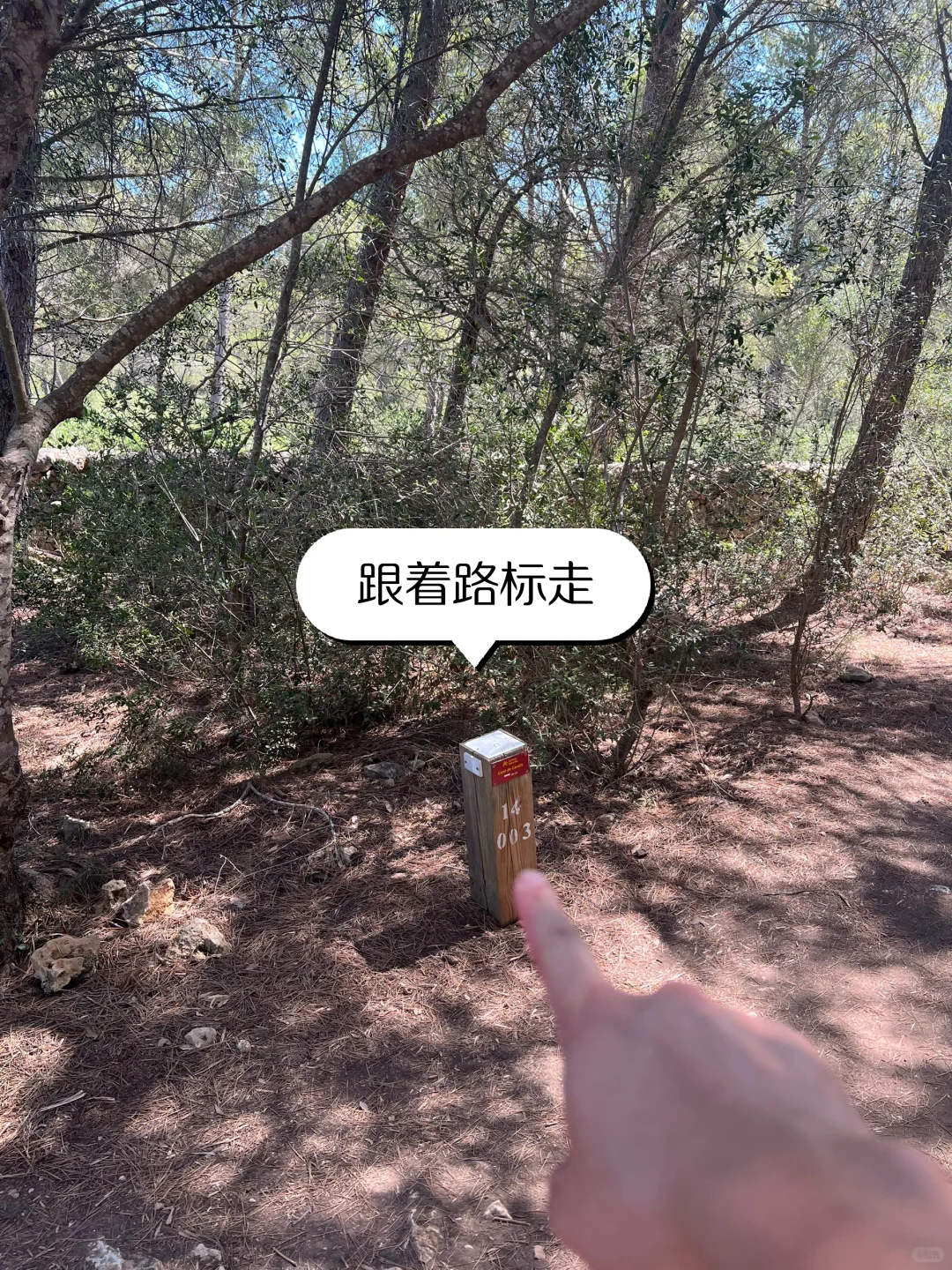 😂西班牙🇪🇸小众海岛🏝️旅行指南(干货版)