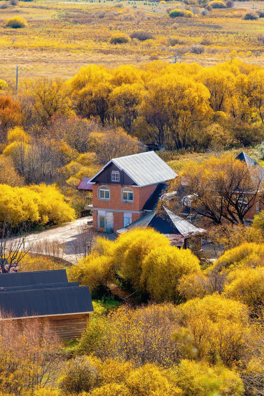 阿尔山，满足了我对大兴安岭秋天的所有幻想