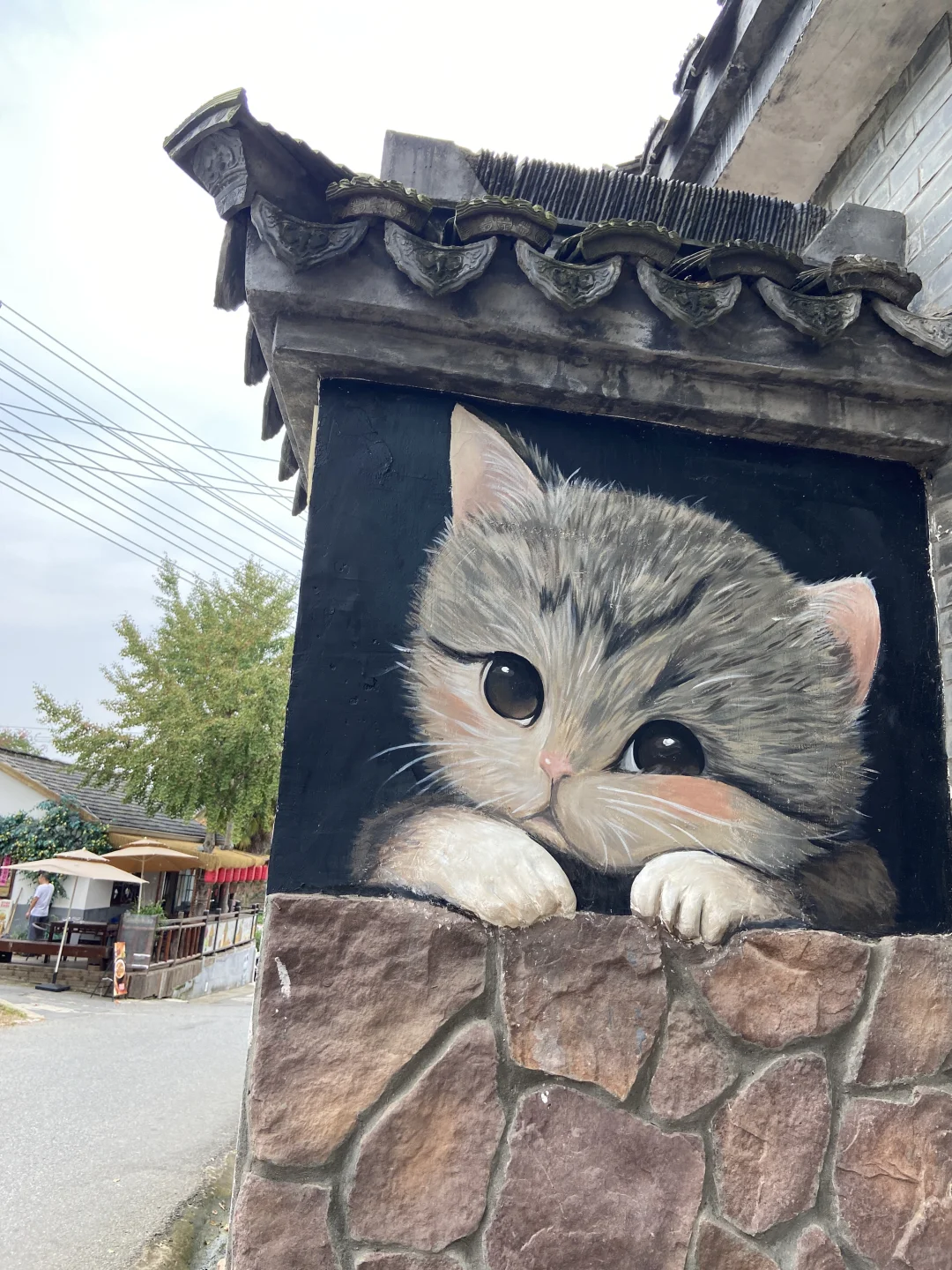 📍南京佘村/南京版“有风的地方”🍃