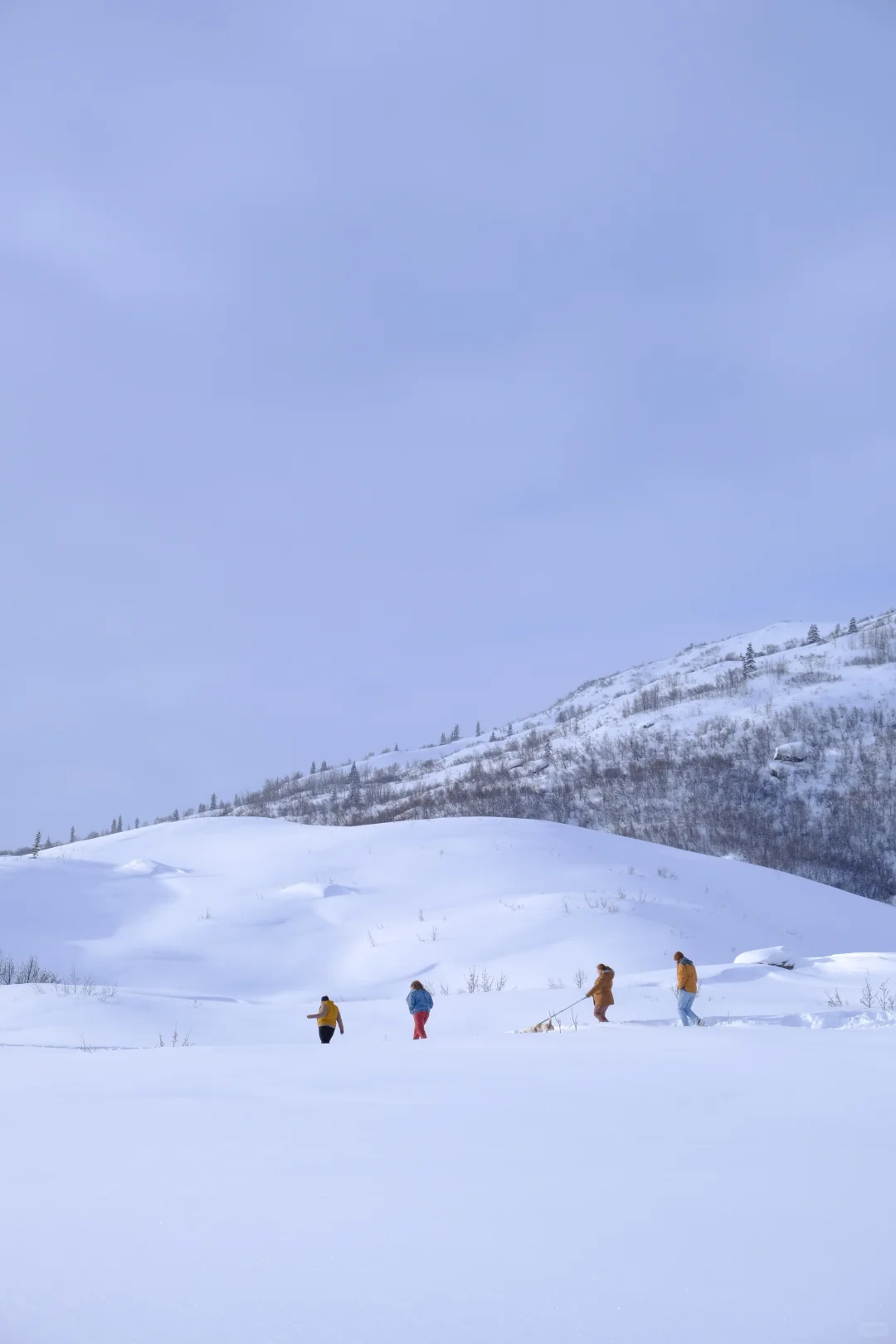 📸2021-2022最喜欢的18张图存档