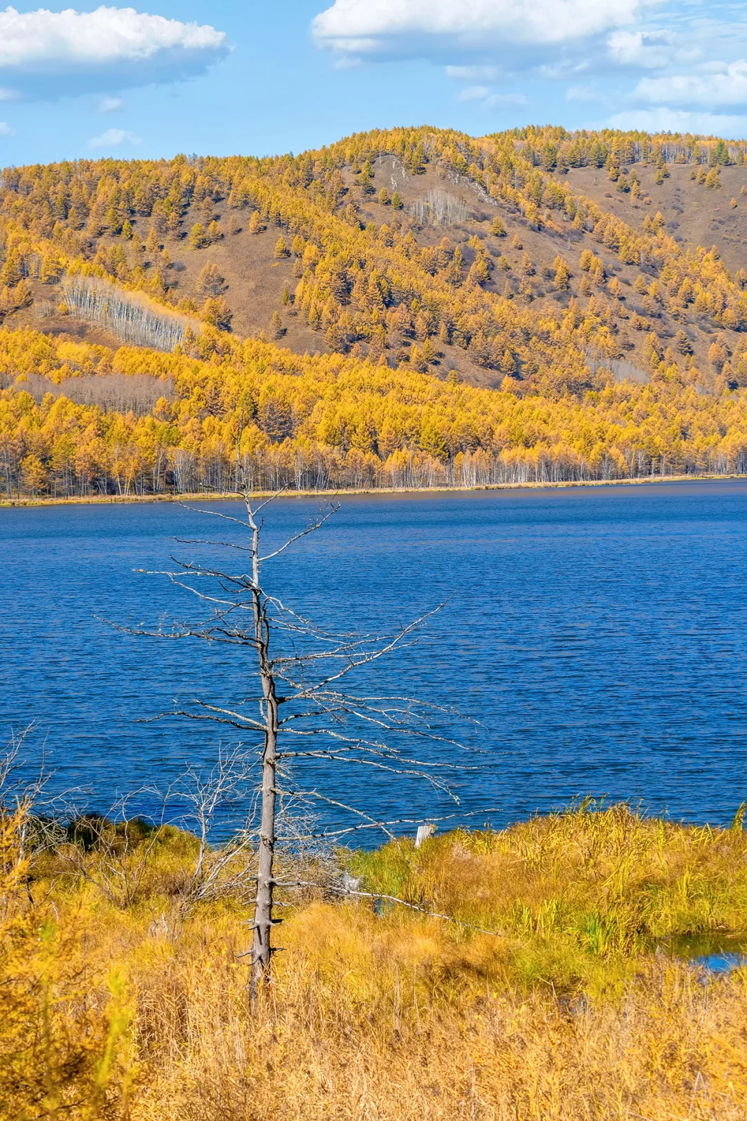 阿尔山，满足了我对大兴安岭秋天的所有幻想