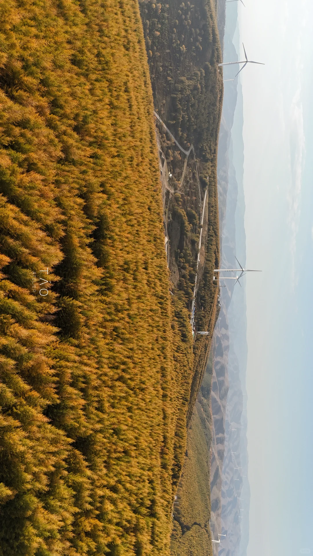 🍁崇礼六大赏秋秘境｜闯入金色童话世界