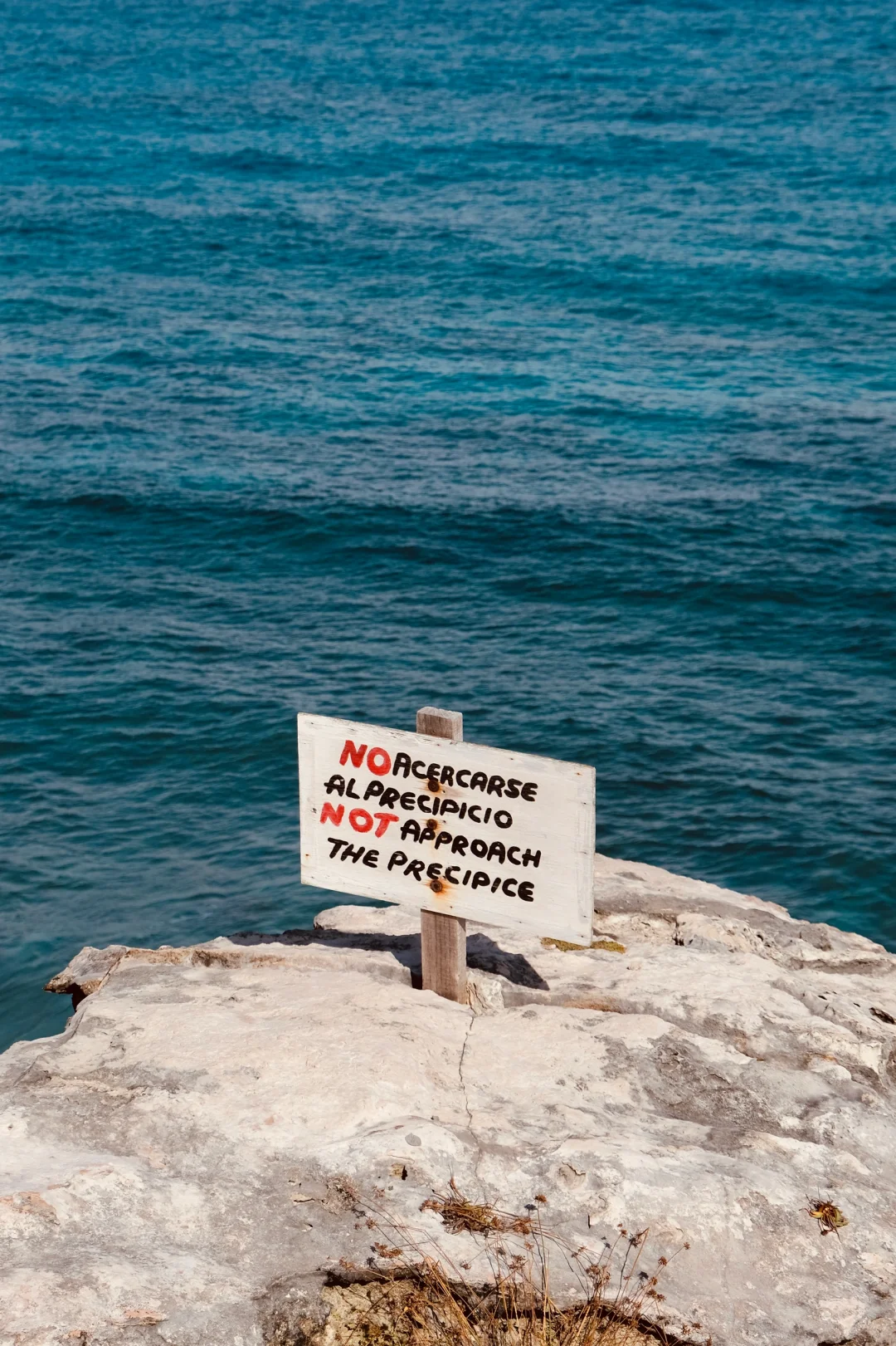 📸2021-2022最喜欢的18张图存档